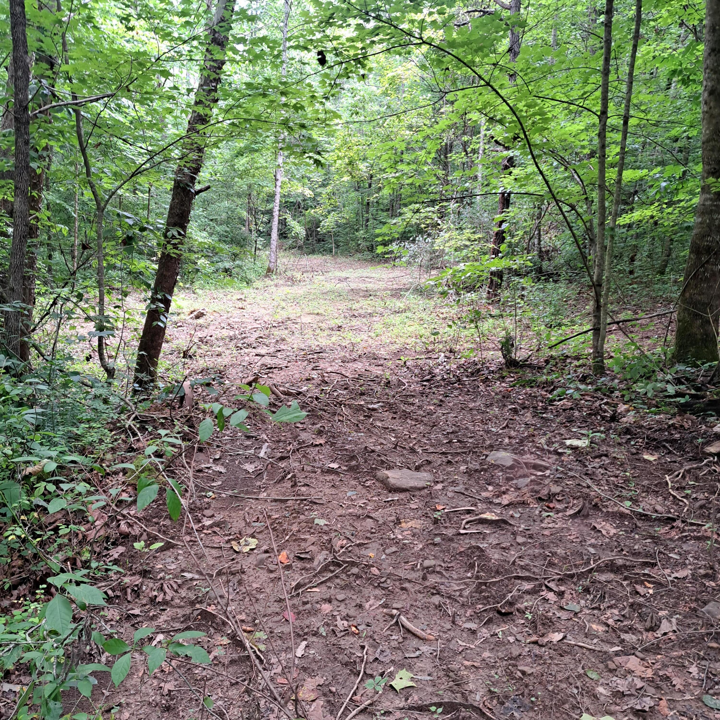 99 Jackson Road Property Photo 18