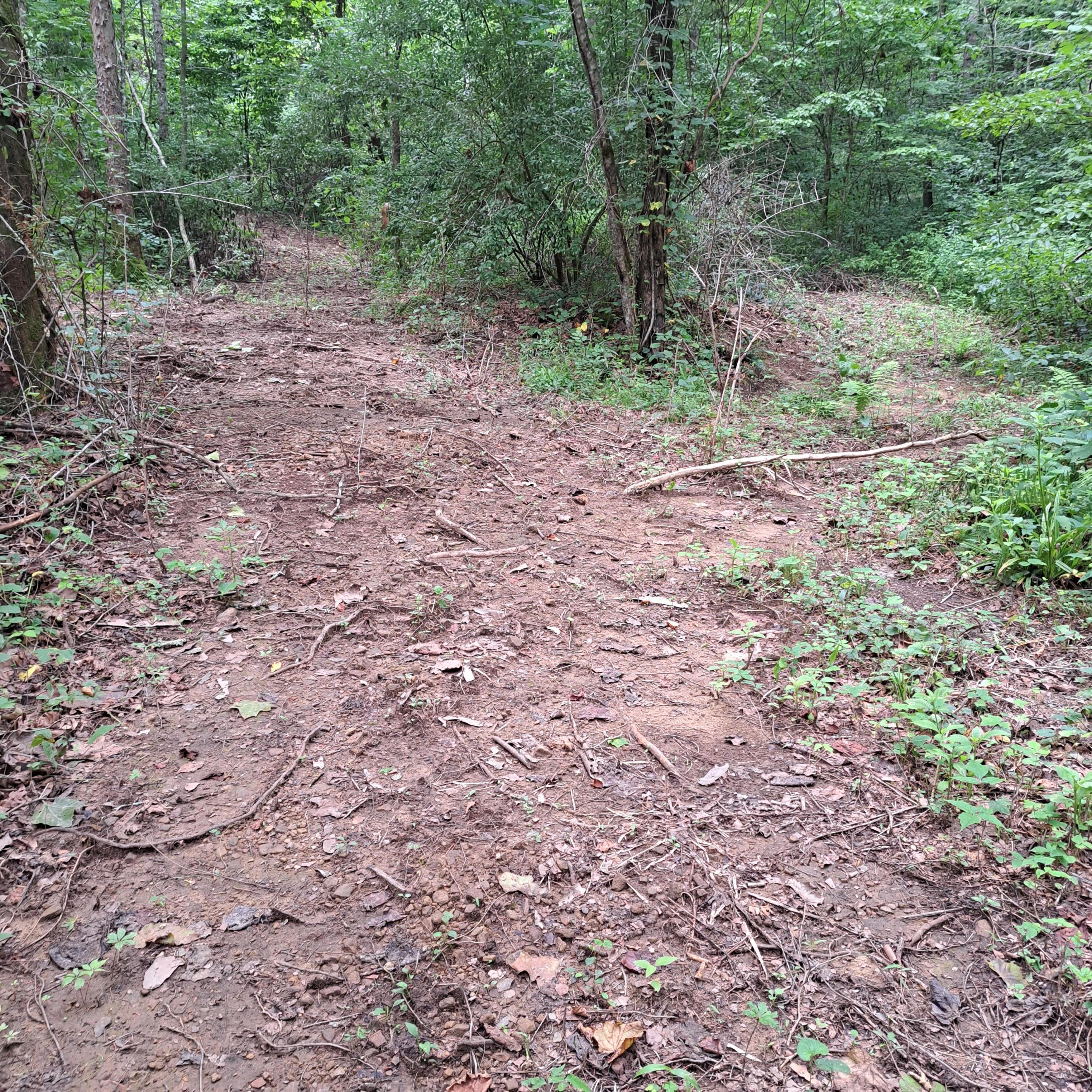 99 Jackson Road Property Photo 19