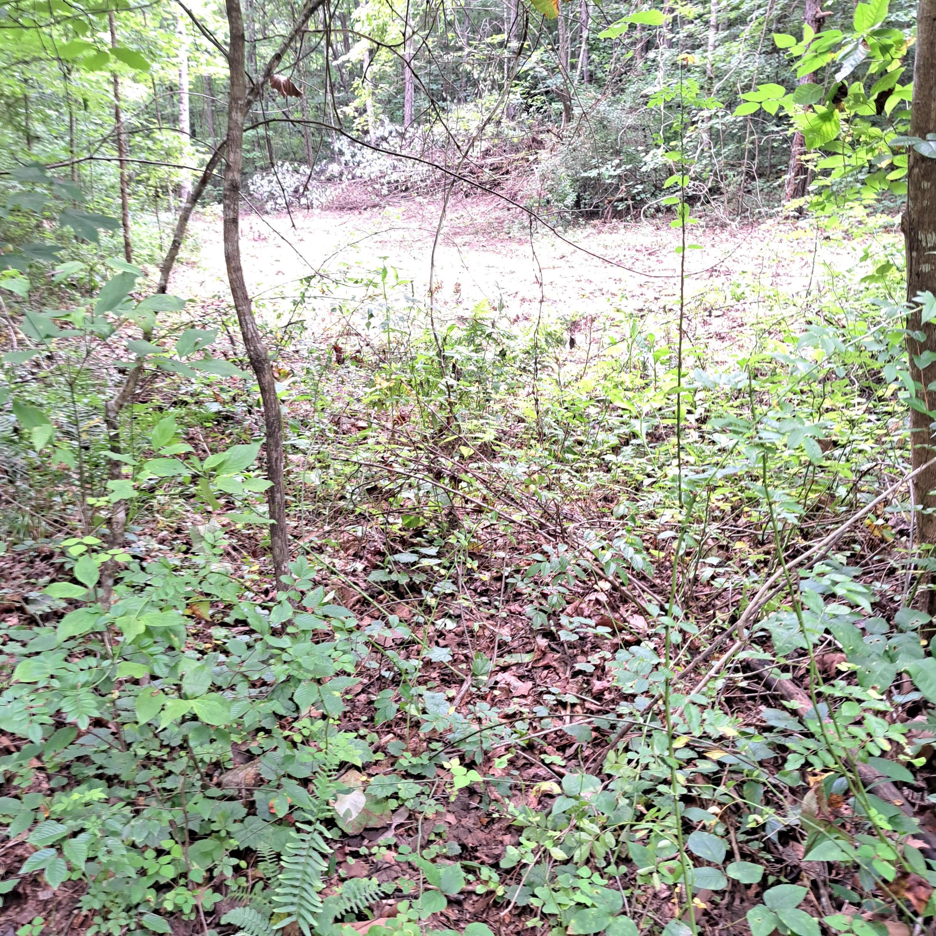 99 Jackson Road Property Photo 20