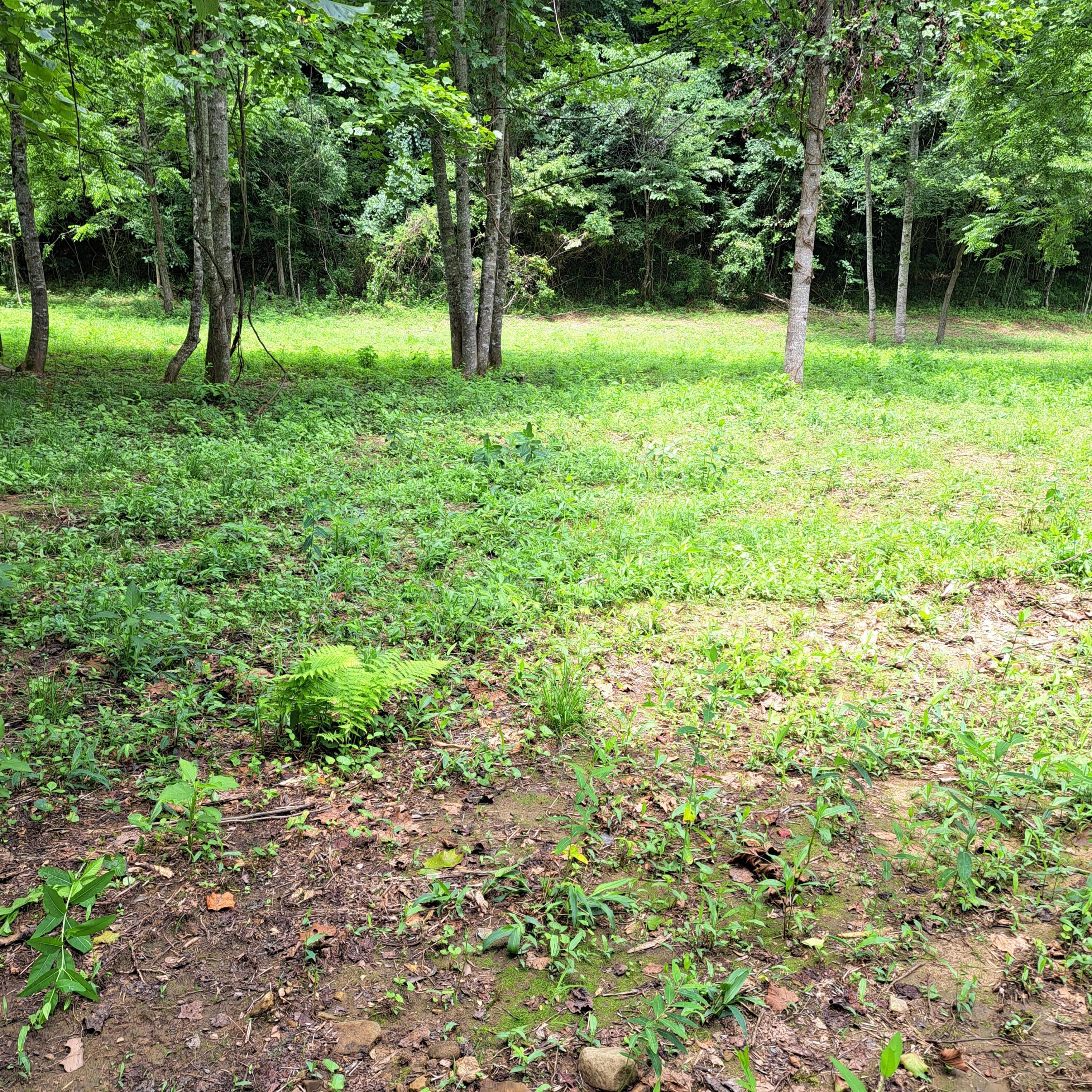 99 Jackson Road Property Photo 21