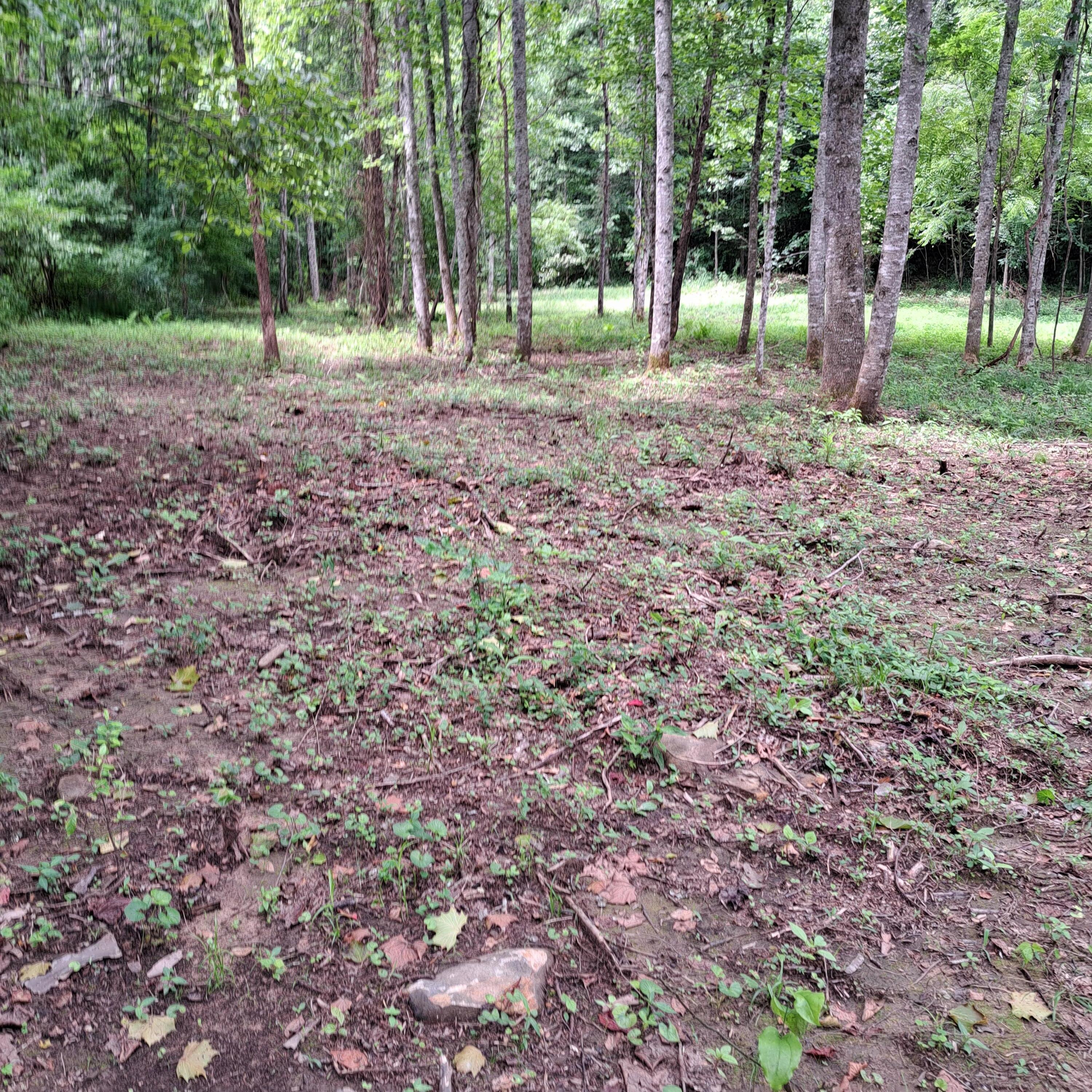 99 Jackson Road Property Photo 24