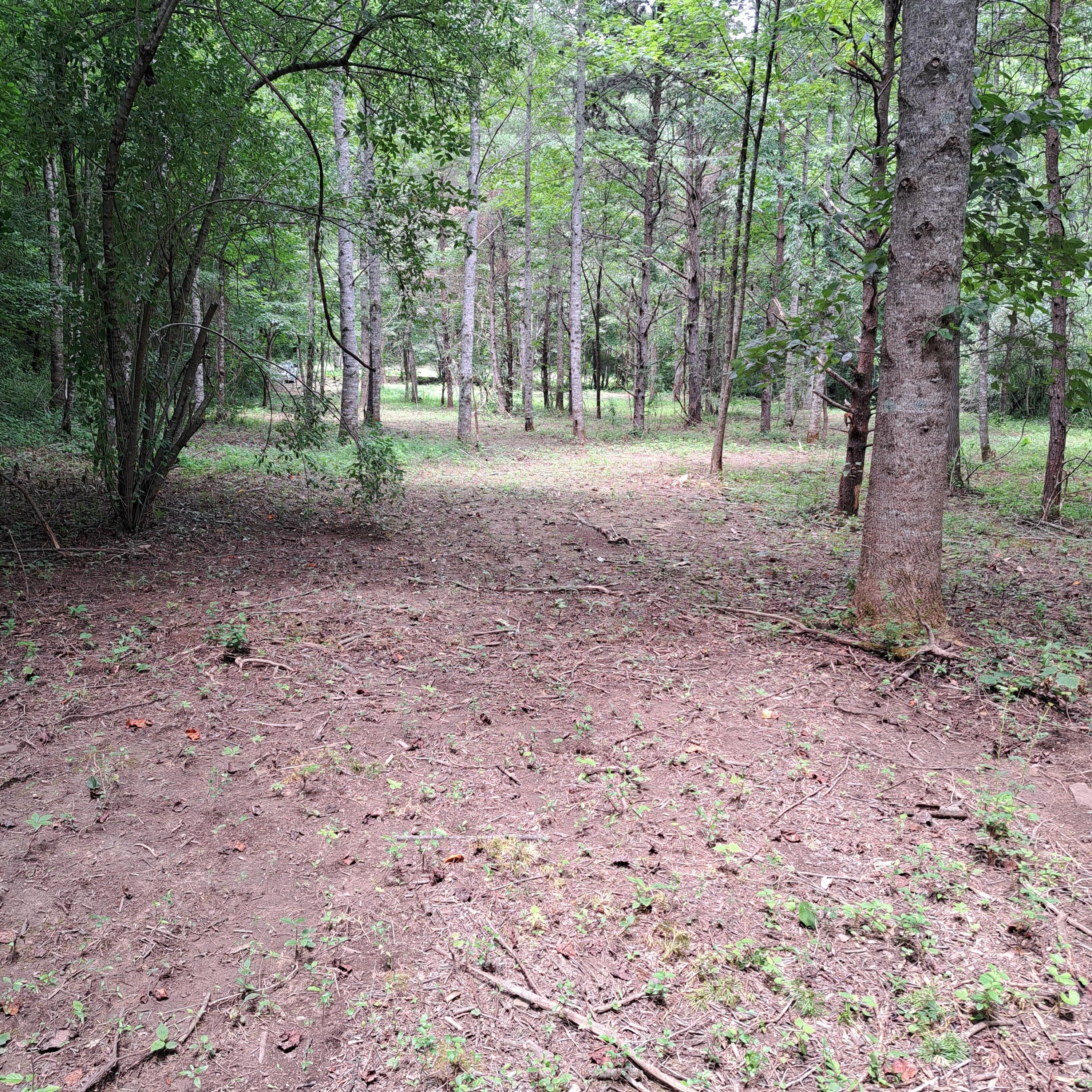 99 Jackson Road Property Photo 25