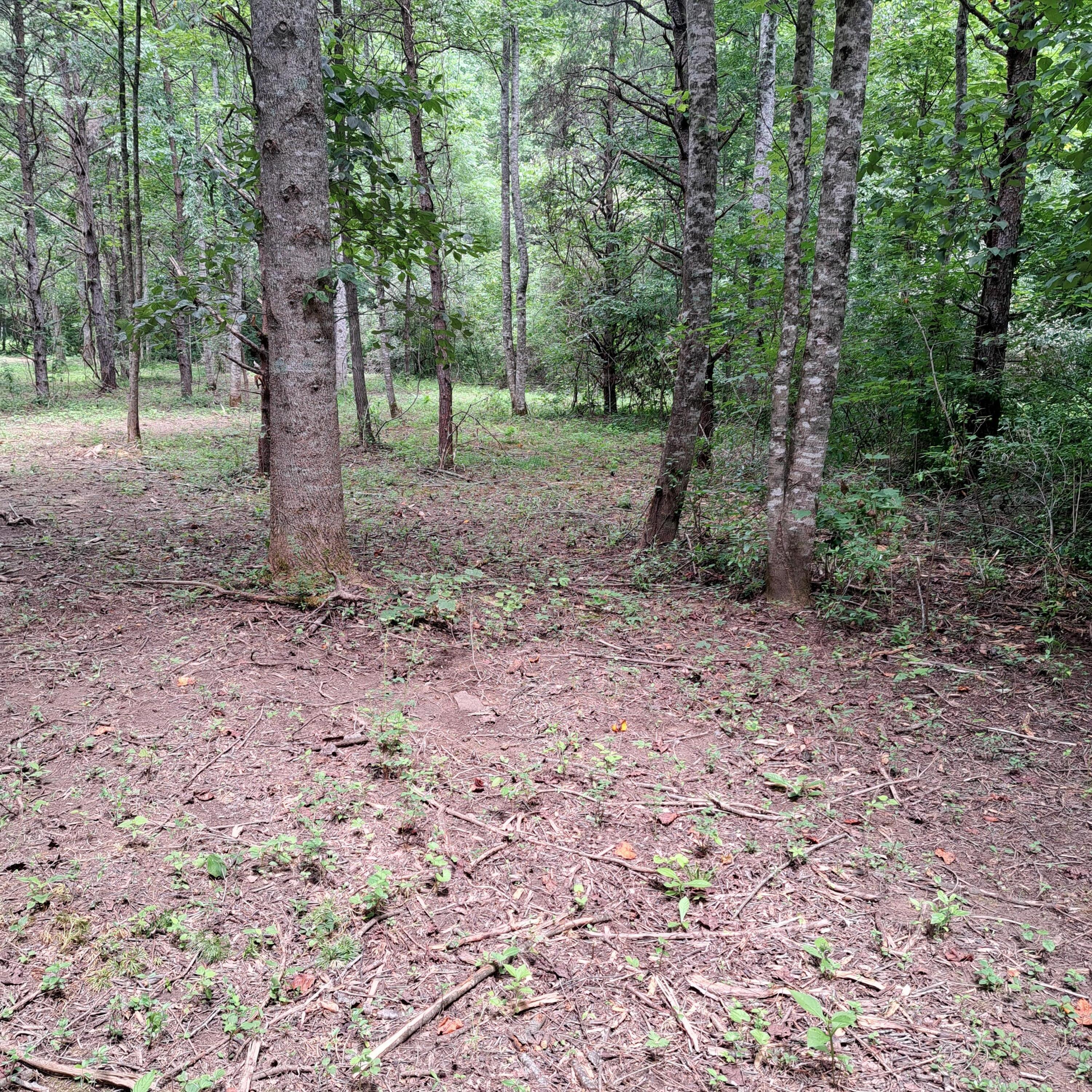 99 Jackson Road Property Photo 26