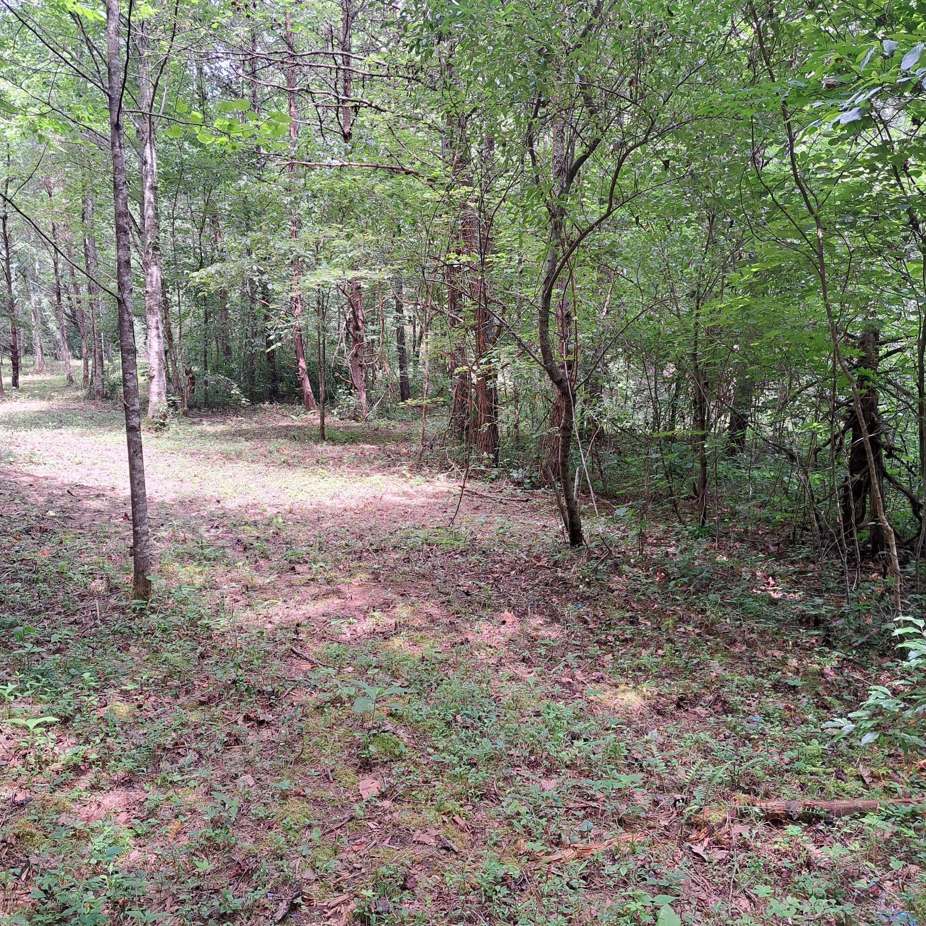 99 Jackson Road Property Photo 27