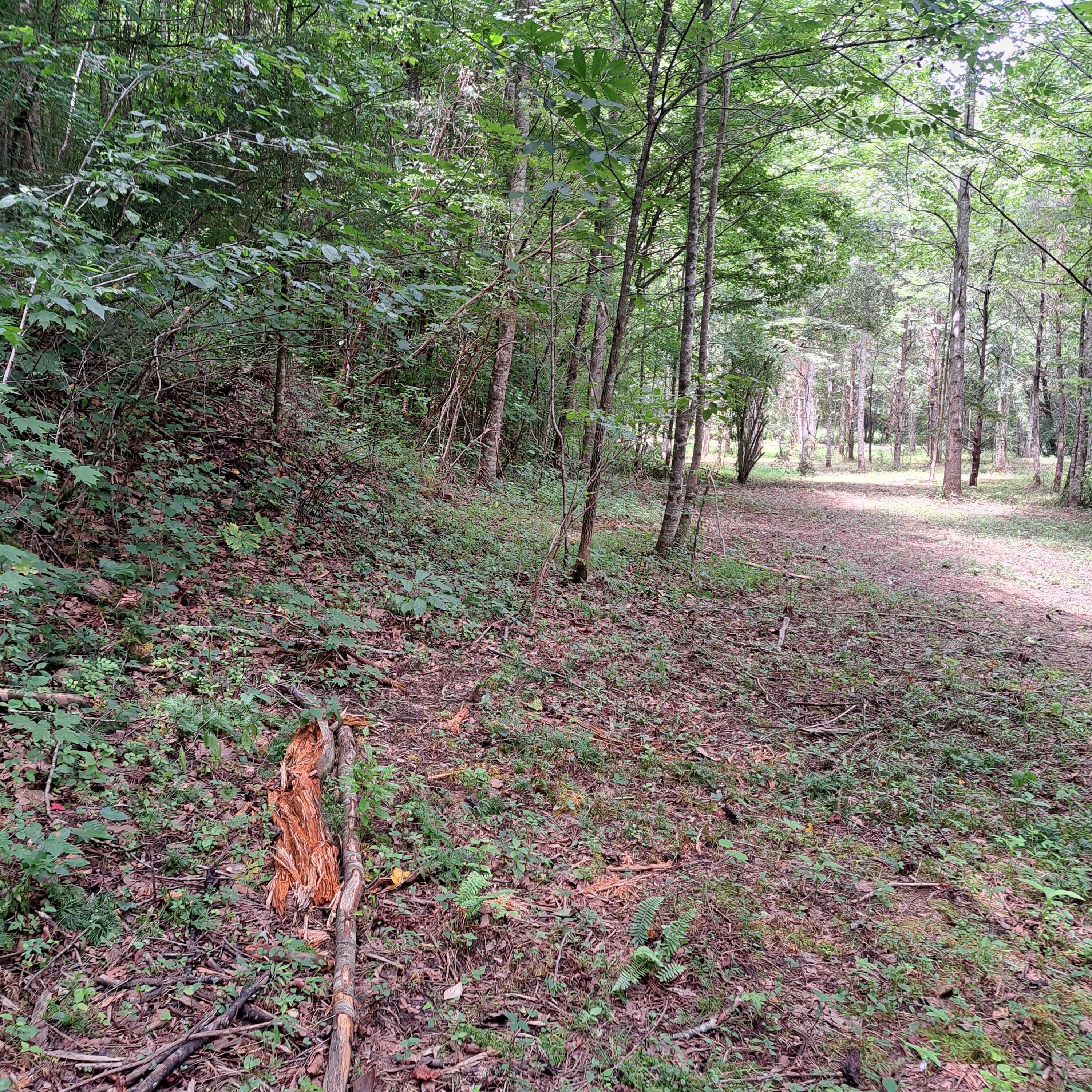 99 Jackson Road Property Photo 28