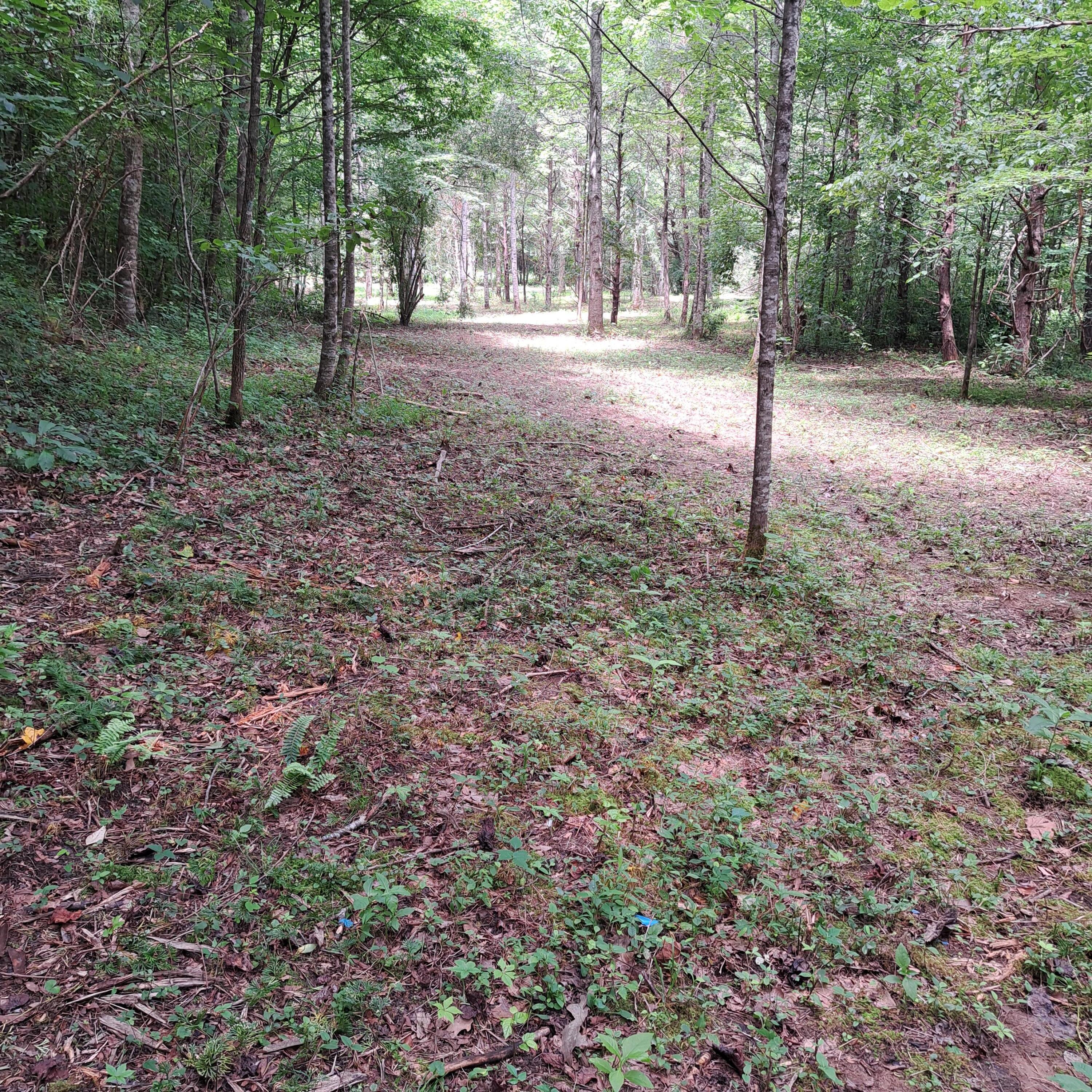 99 Jackson Road Property Photo 29