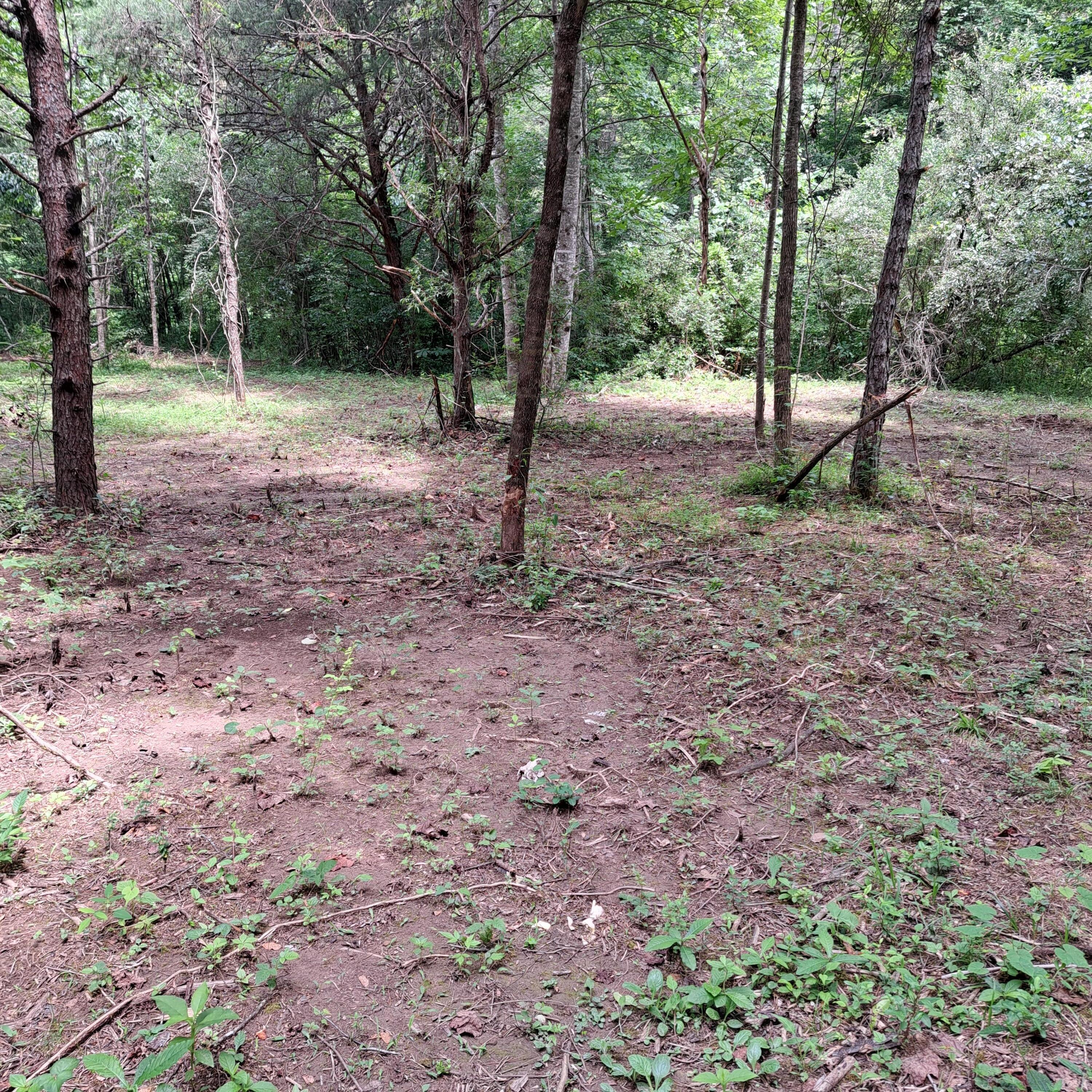99 Jackson Road Property Photo 30