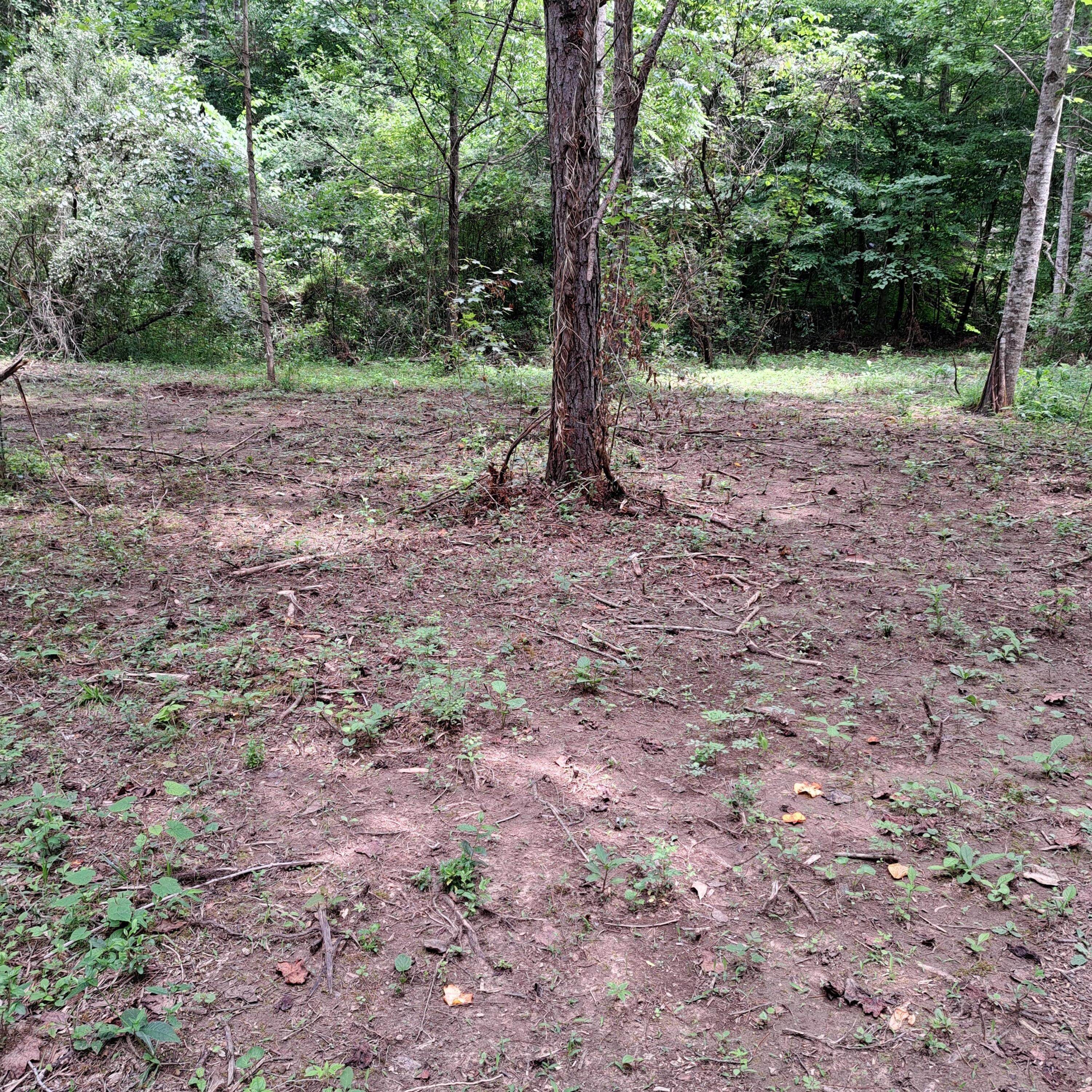 99 Jackson Road Property Photo 31