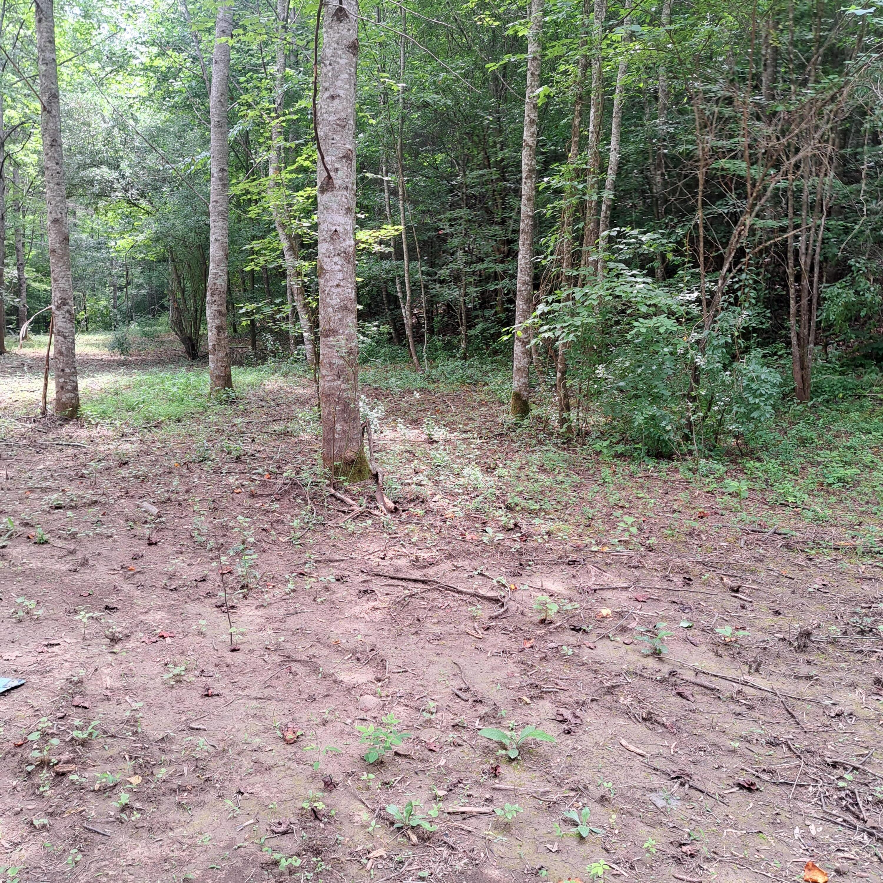 99 Jackson Road Property Photo 33