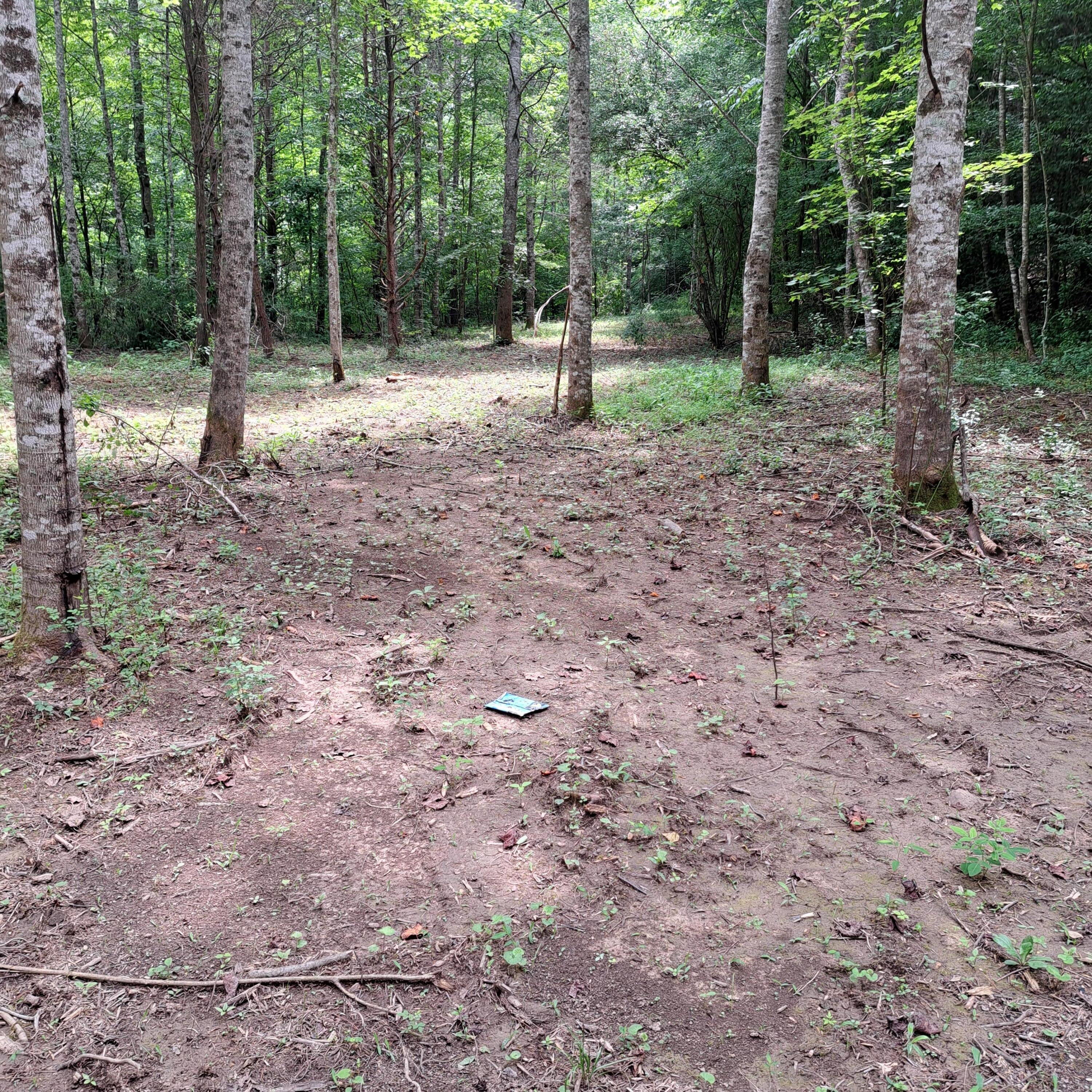 99 Jackson Road Property Photo 34
