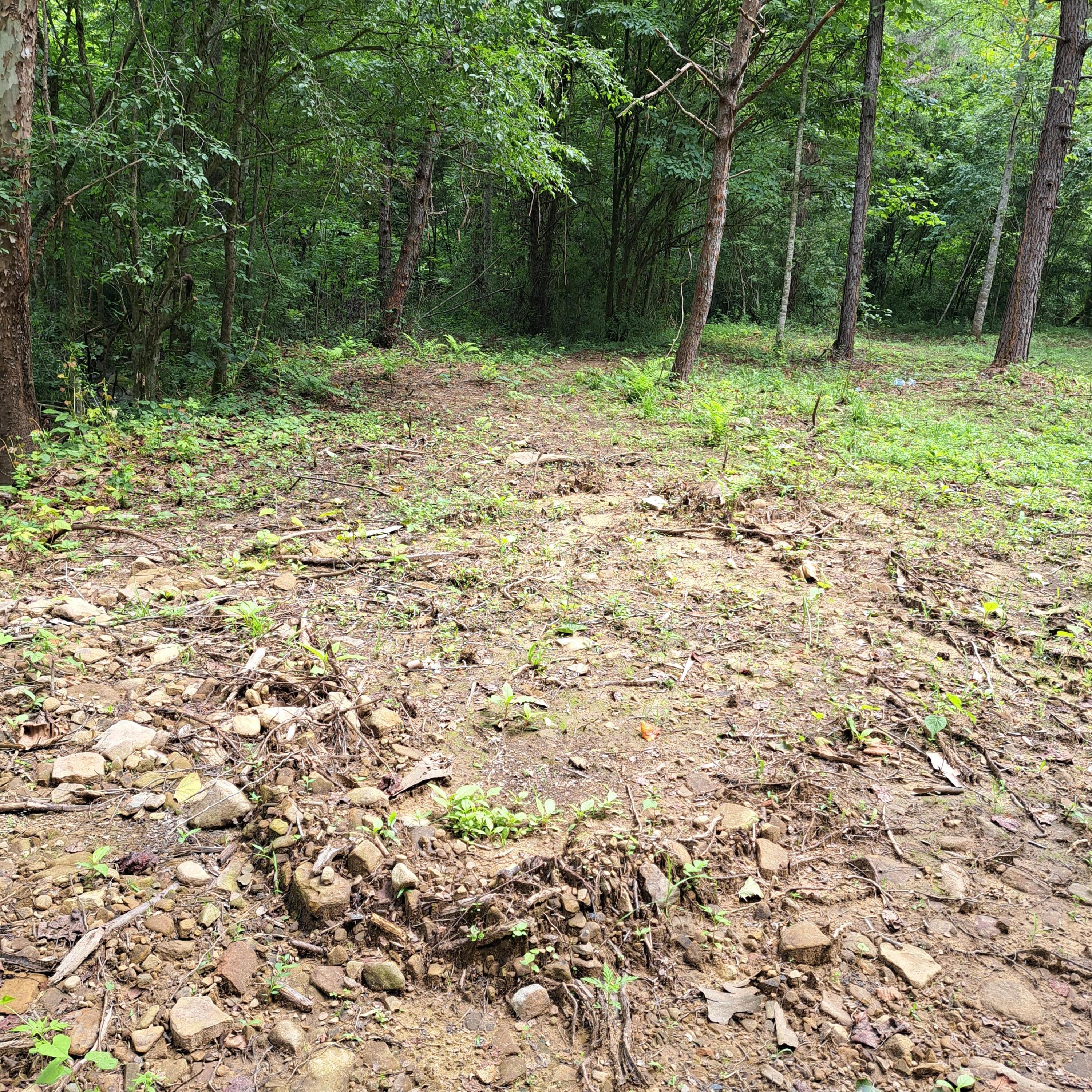 99 Jackson Road Property Photo 35