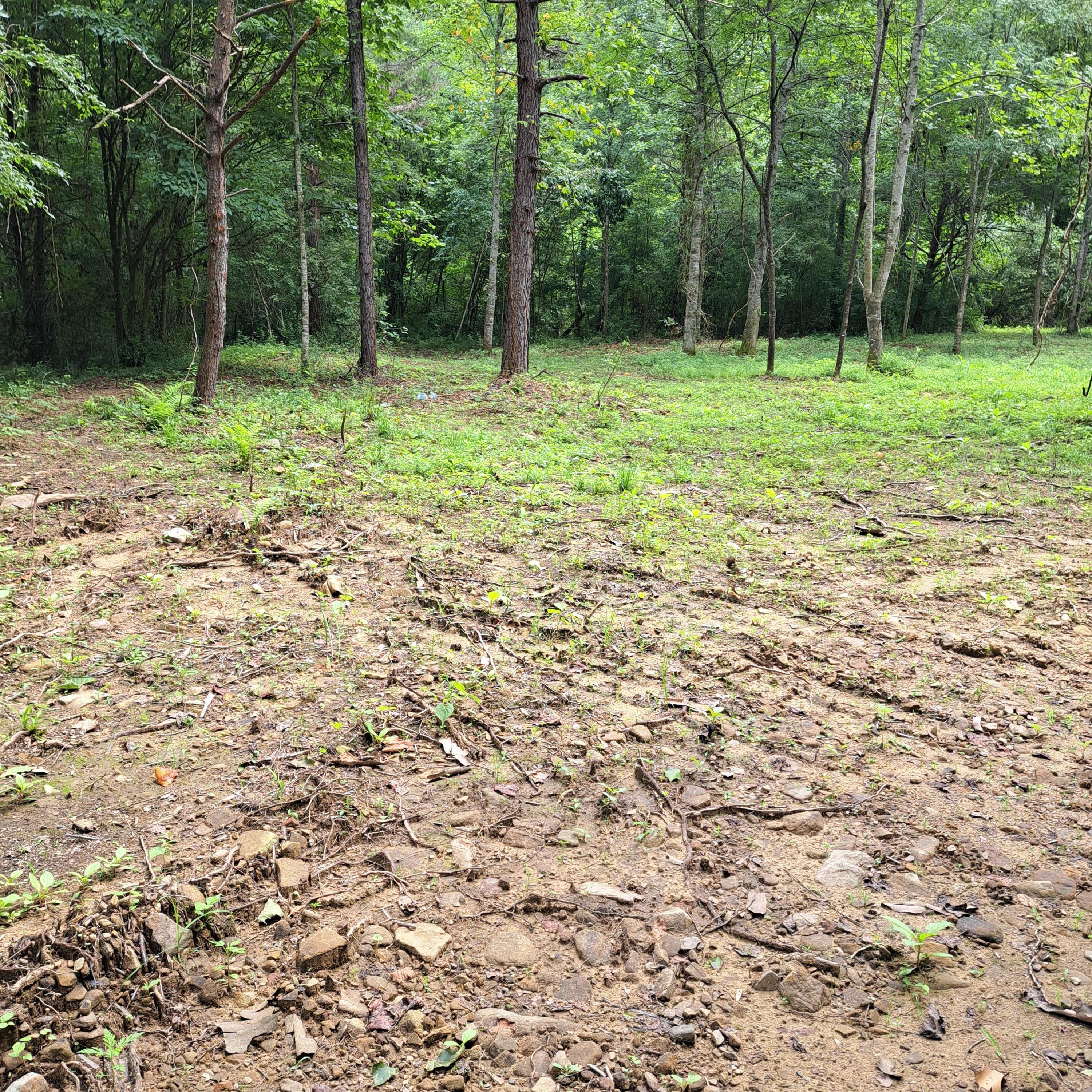 99 Jackson Road Property Photo 36