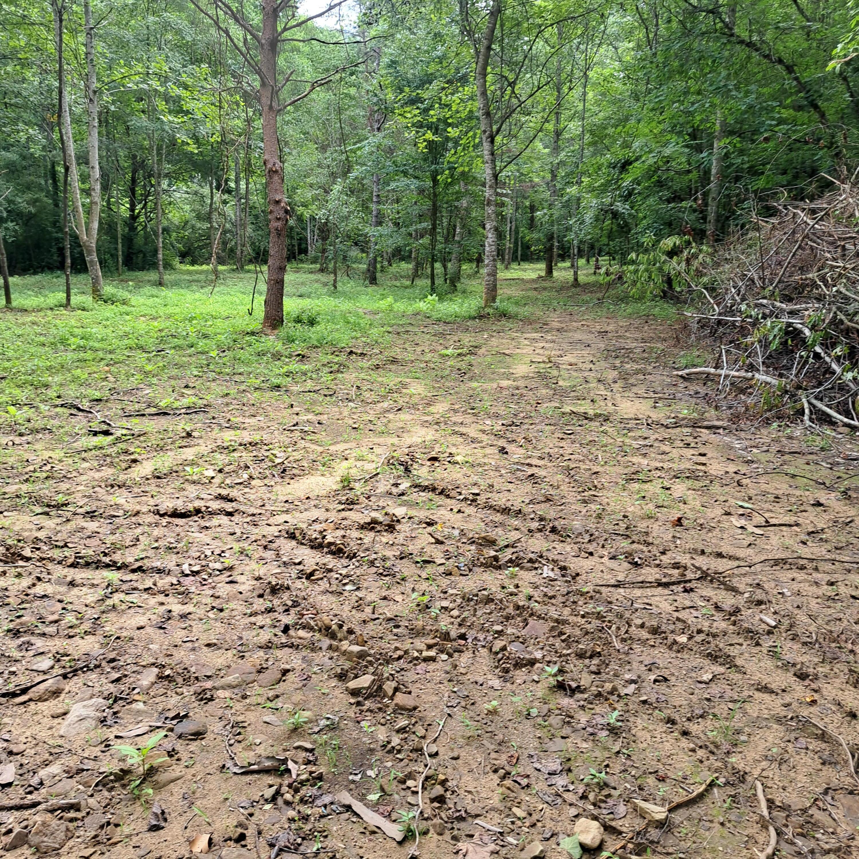 99 Jackson Road Property Photo 37