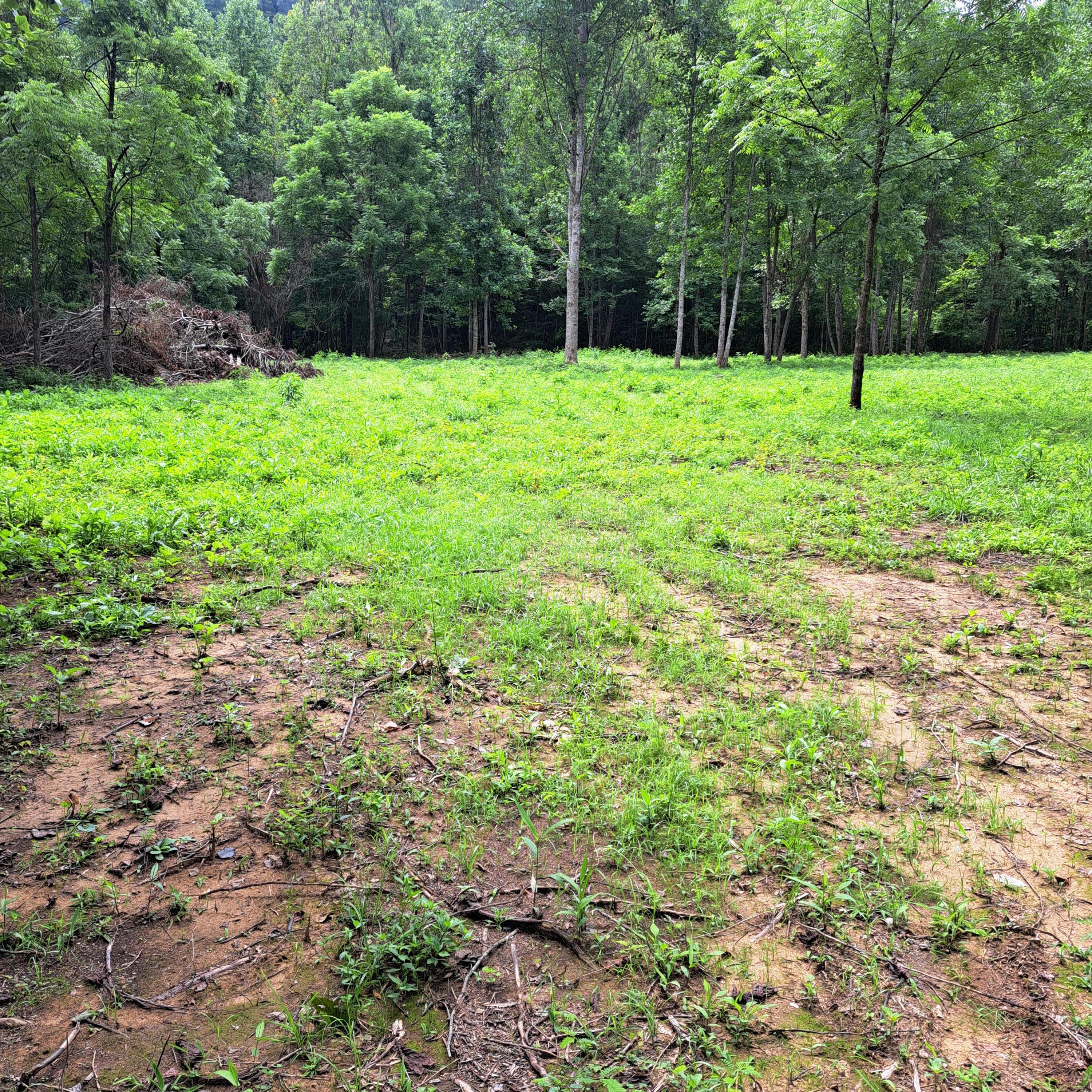 99 Jackson Road Property Photo 39