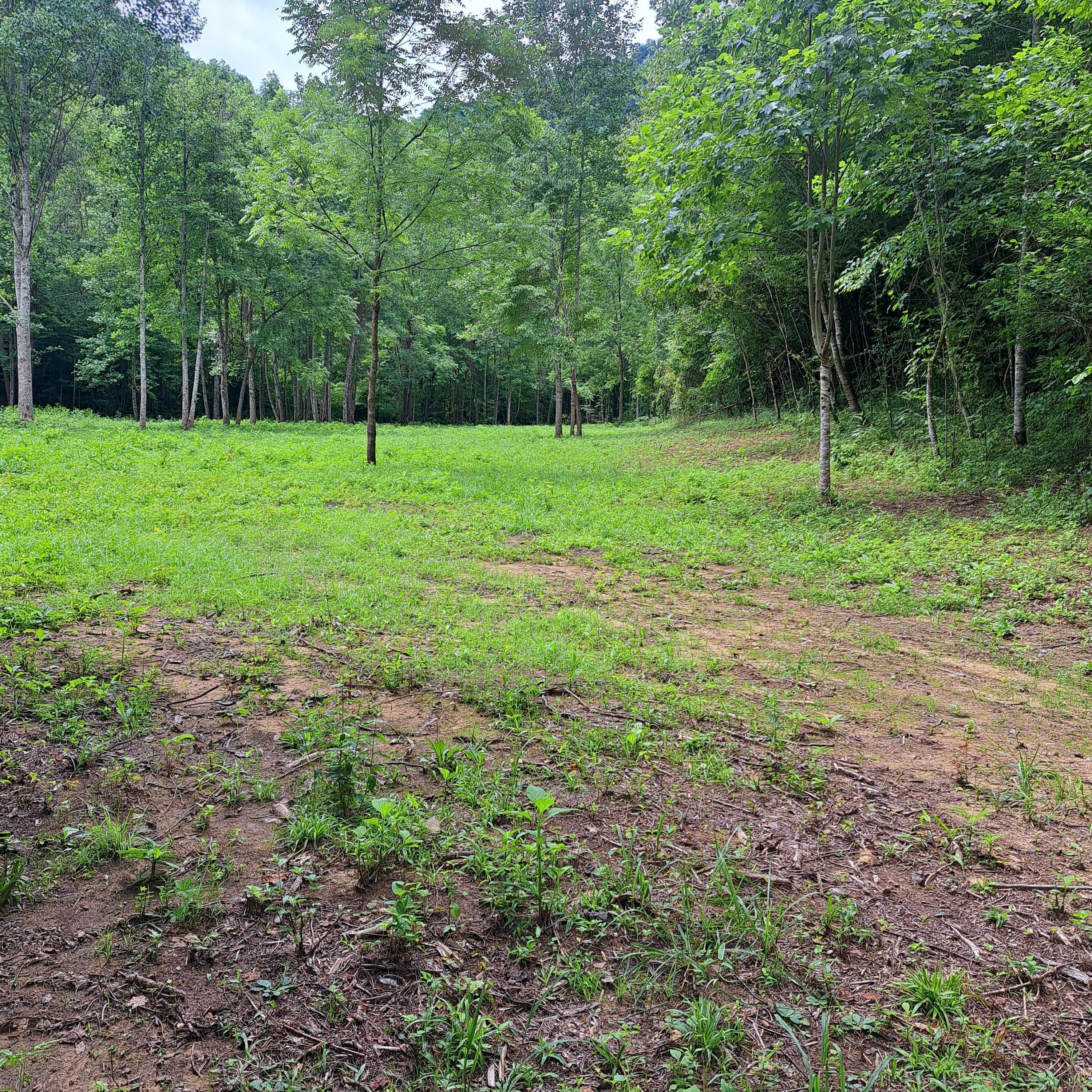 99 Jackson Road Property Photo 40