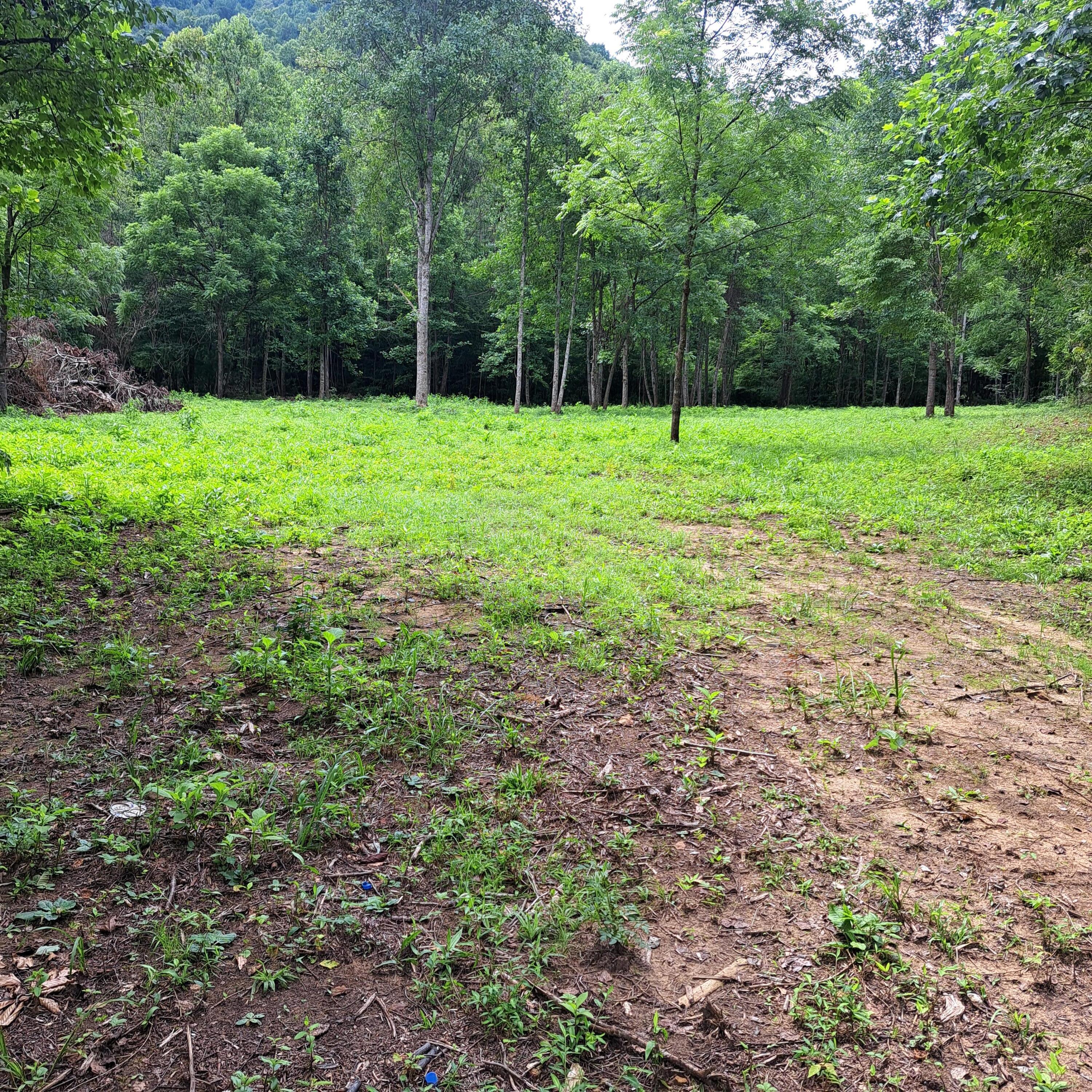 99 Jackson Road Property Photo 41