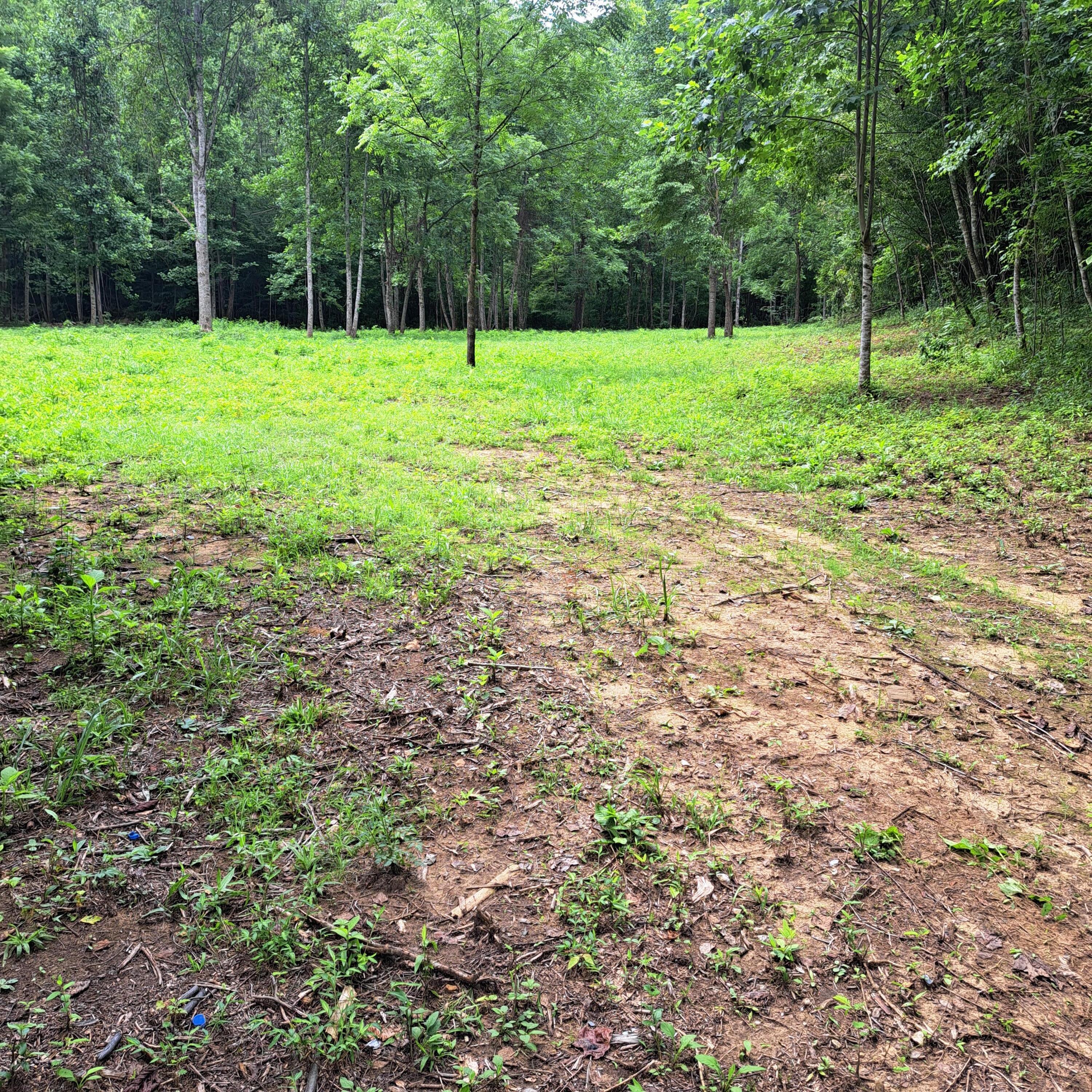 99 Jackson Road Property Photo 42