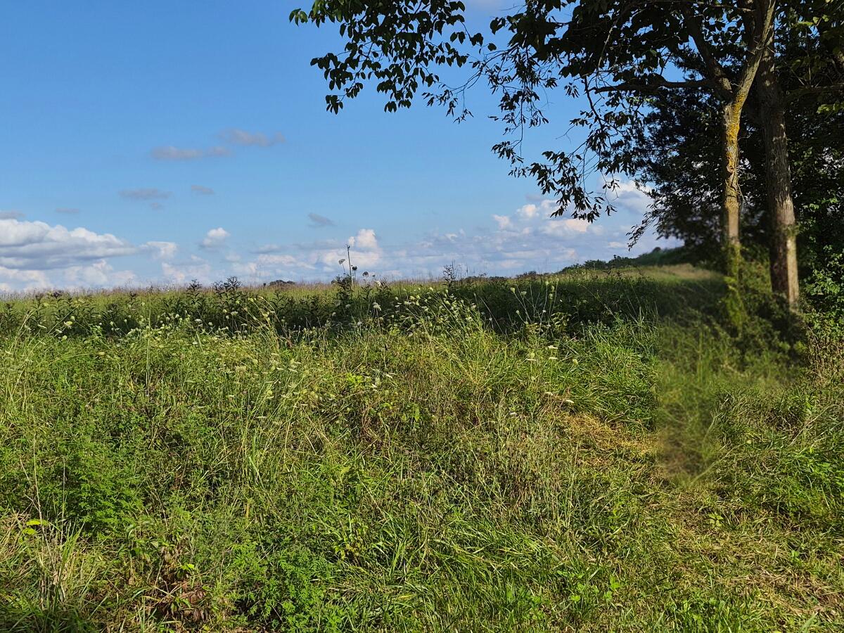3 Bohannon Road Property Photo 1