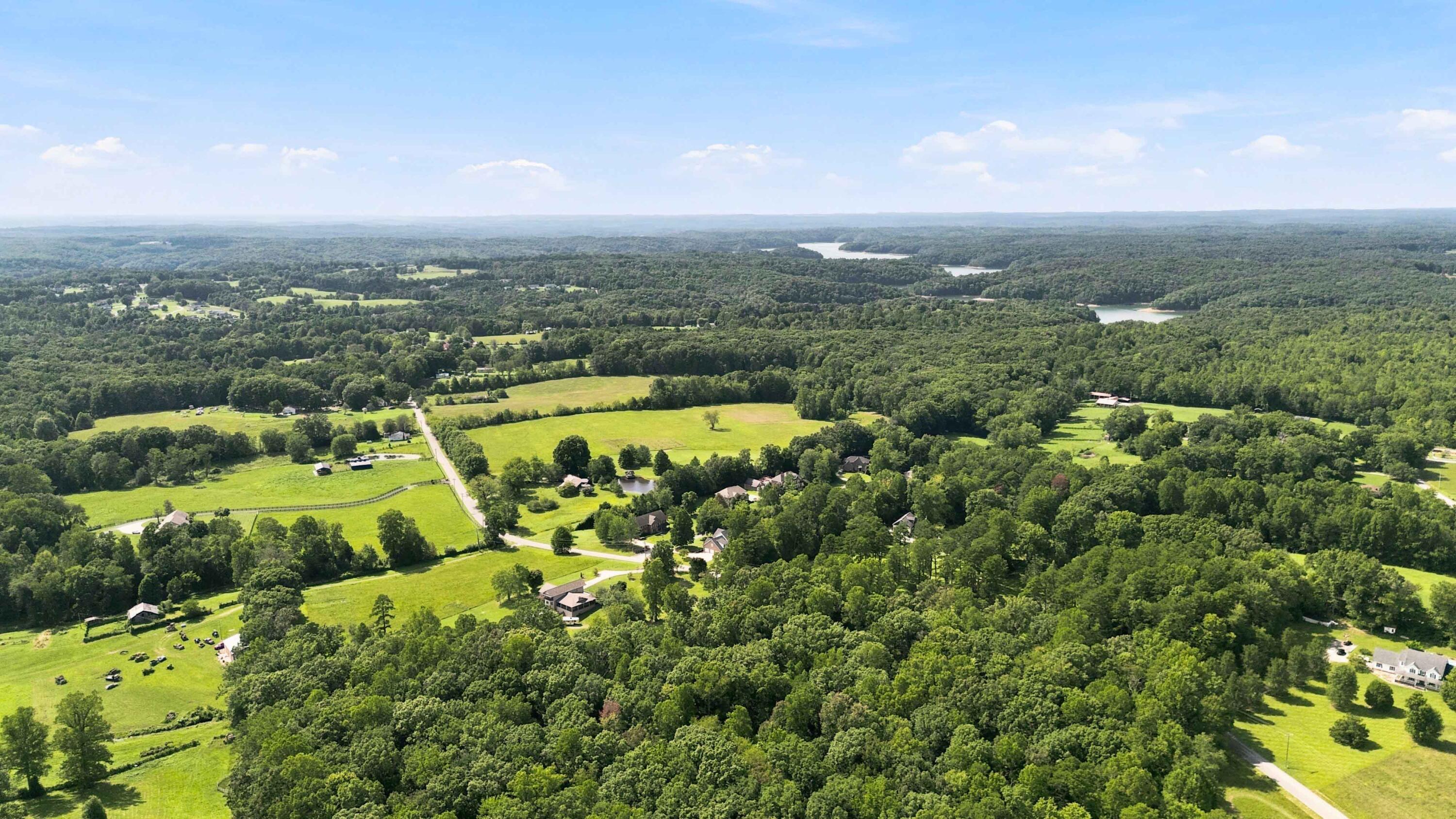 10 Diamond Grove Property Photo 65
