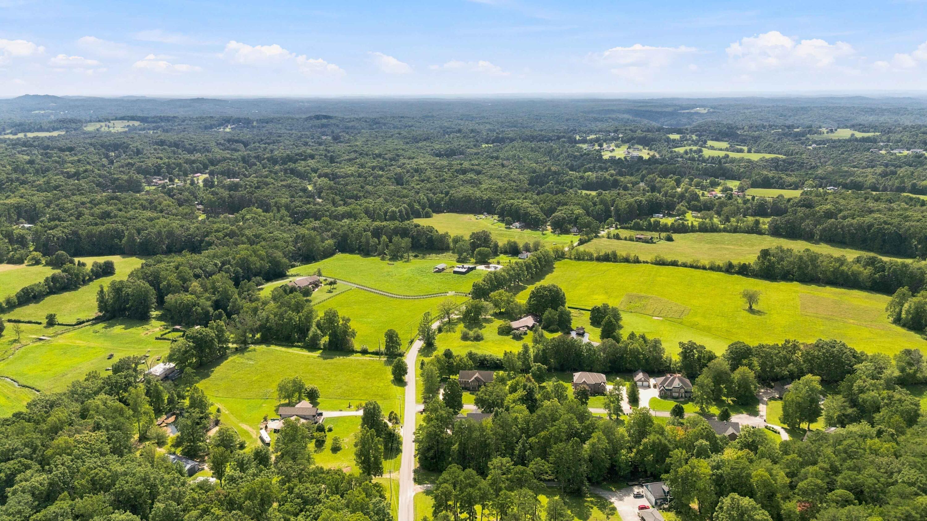 10 Diamond Grove Property Photo 66