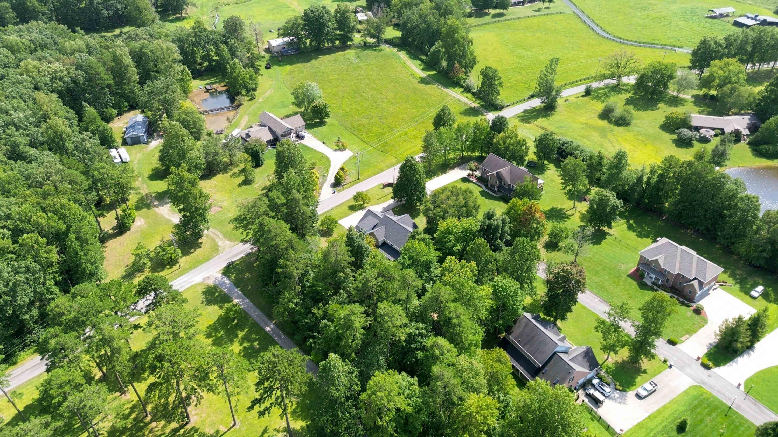 10 Diamond Grove Property Photo 67