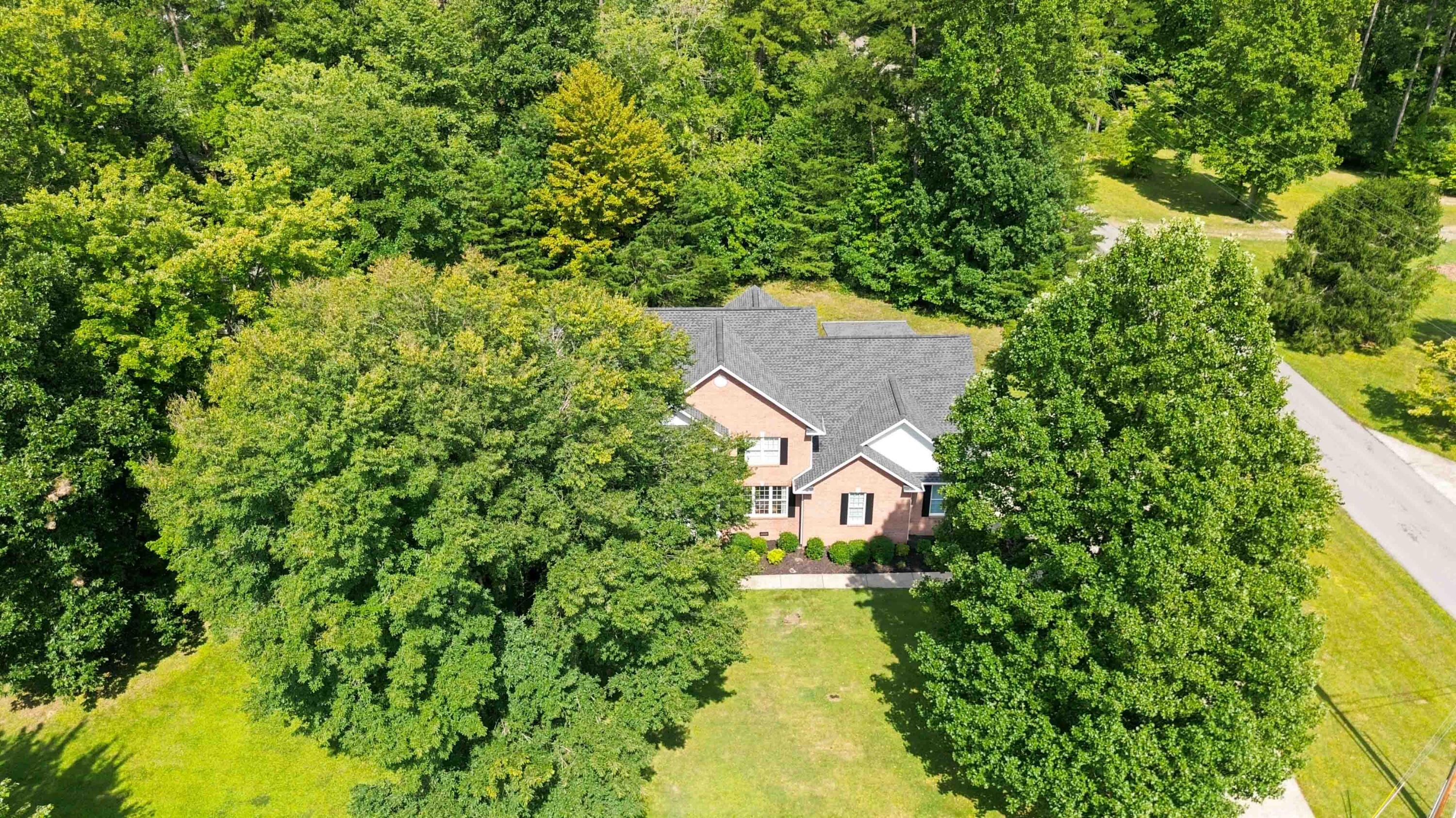 10 Diamond Grove Property Photo 69