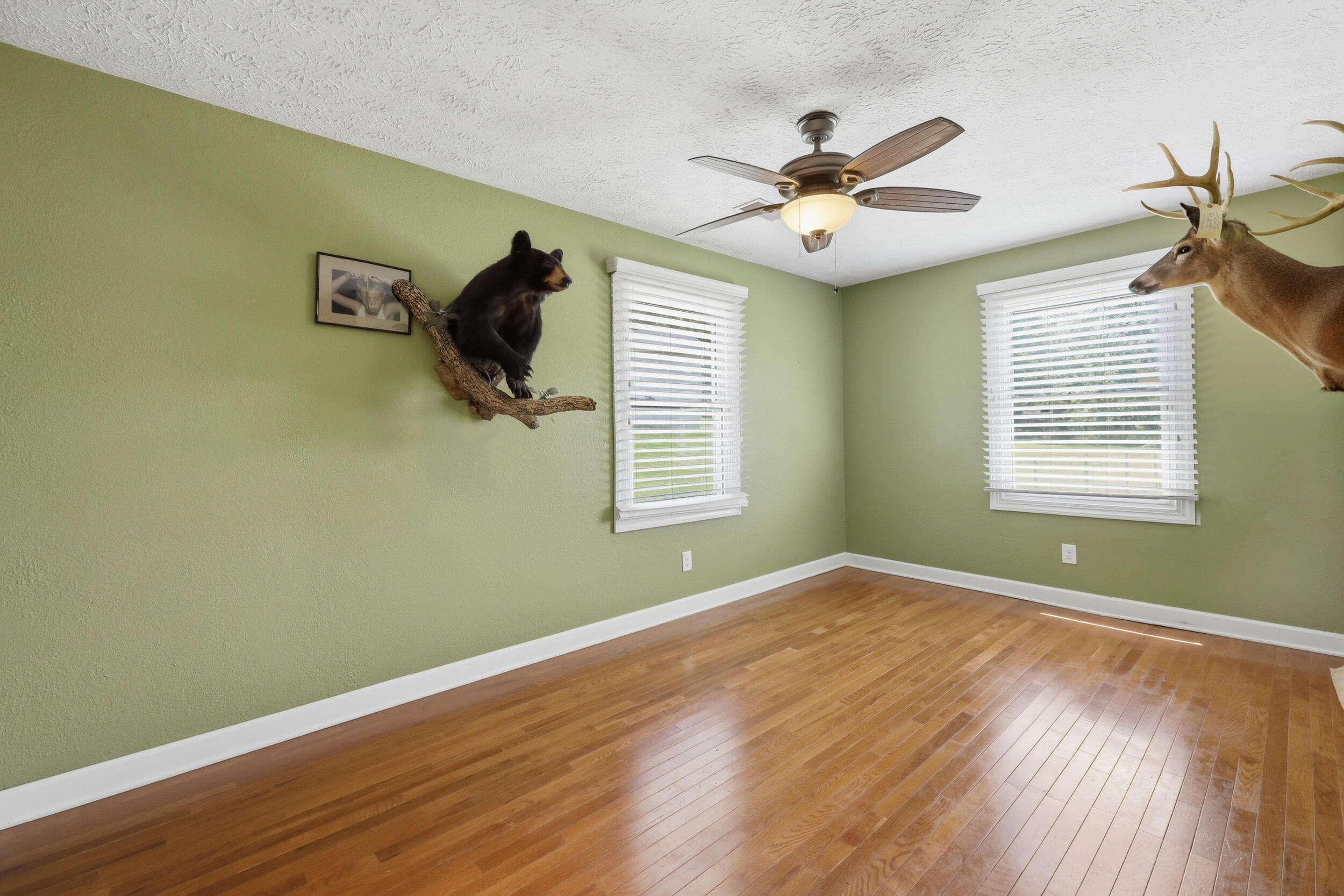 616 Red Lick Road Property Photo 29