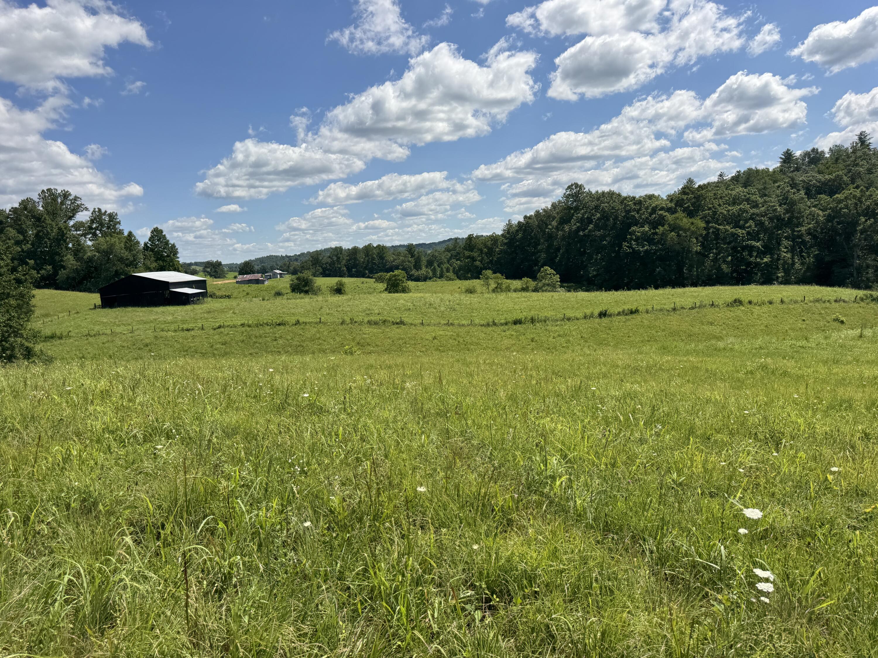 256 Calaboose-rocky Branch Road Property Photo 4