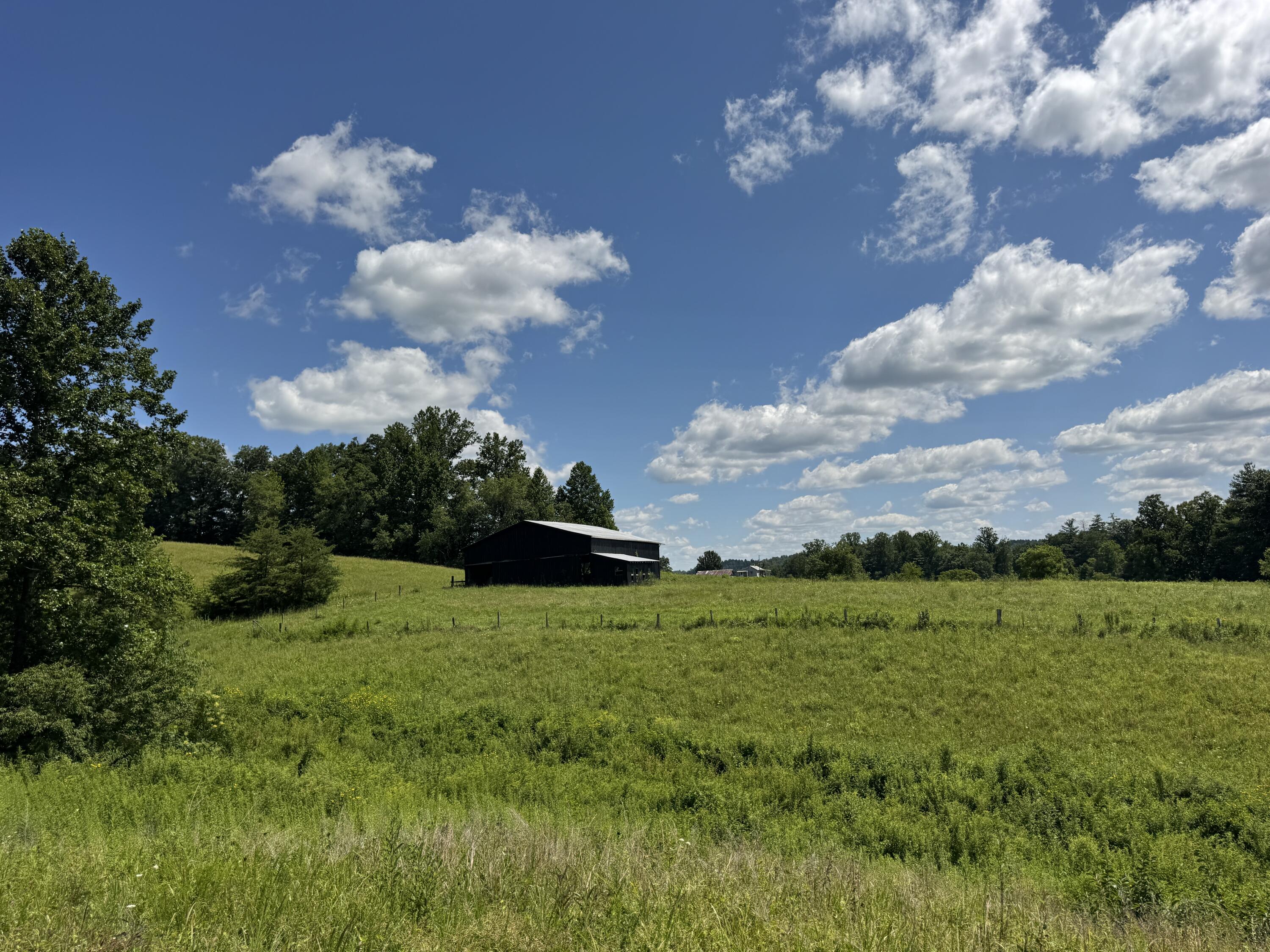 256 Calaboose-rocky Branch Road Property Photo 5