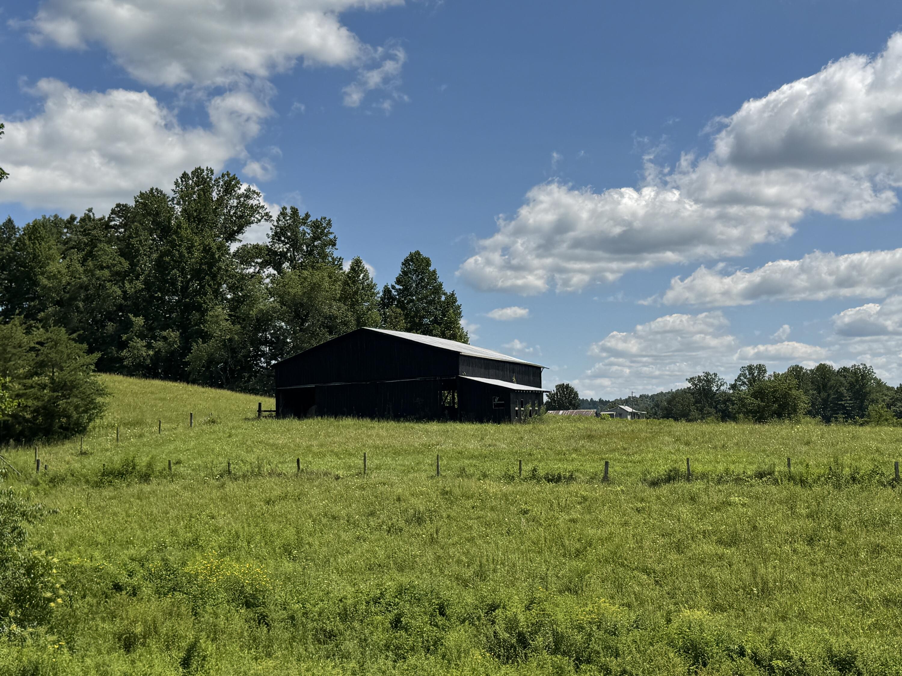 256 Calaboose-rocky Branch Road Property Photo 6