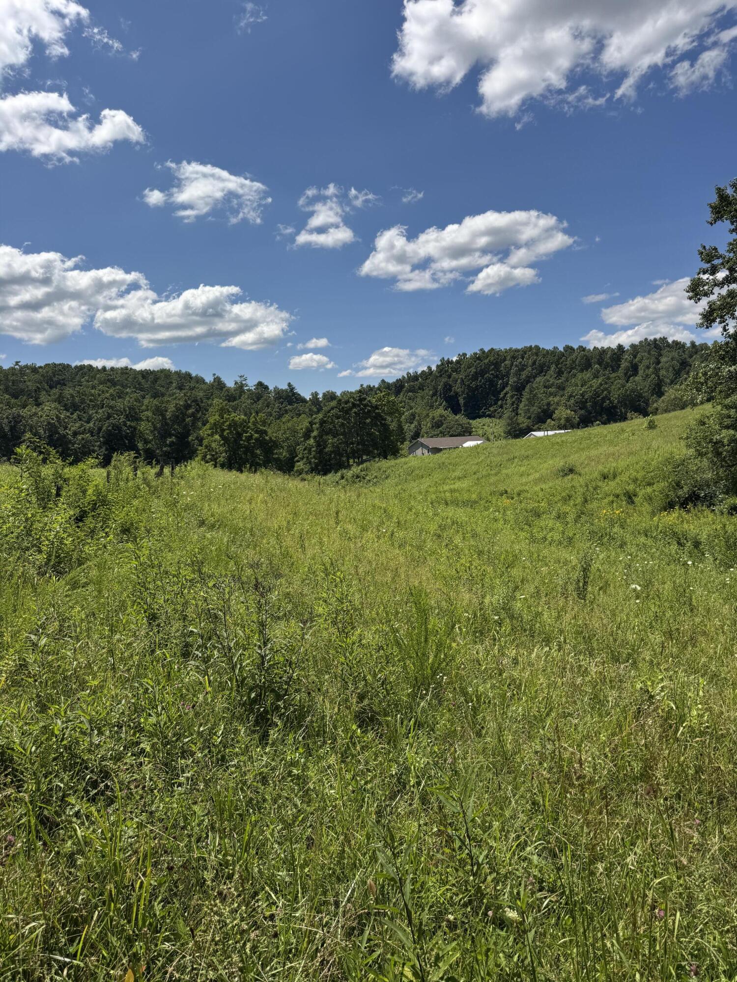 256 Calaboose-rocky Branch Road Property Photo 8