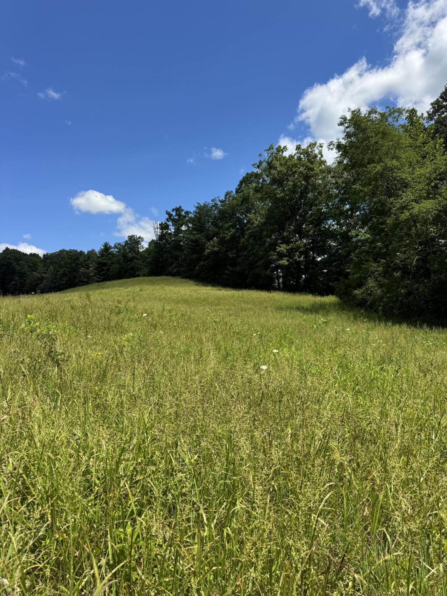 256 Calaboose-rocky Branch Road Property Photo 9