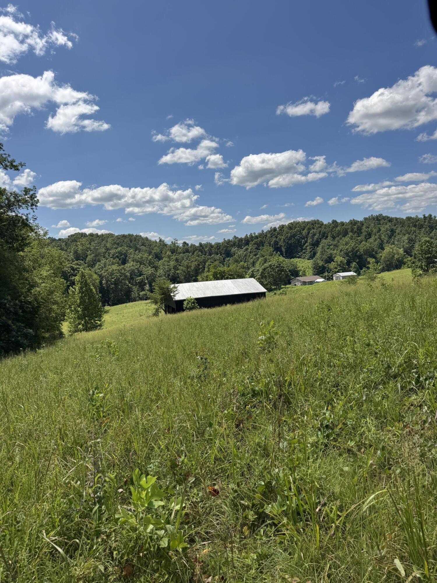 256 Calaboose-rocky Branch Road Property Photo 10