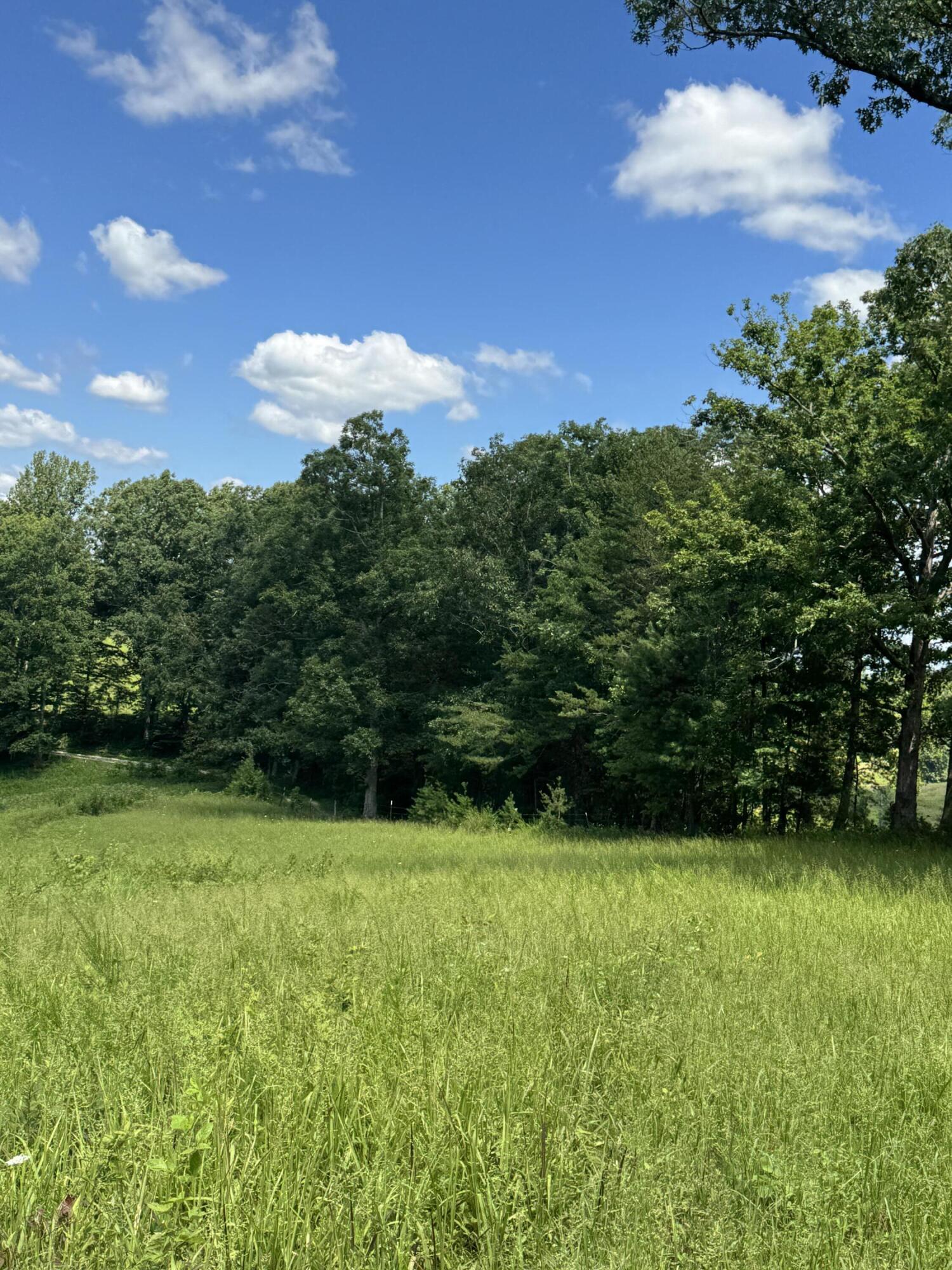 256 Calaboose-rocky Branch Road Property Photo 13