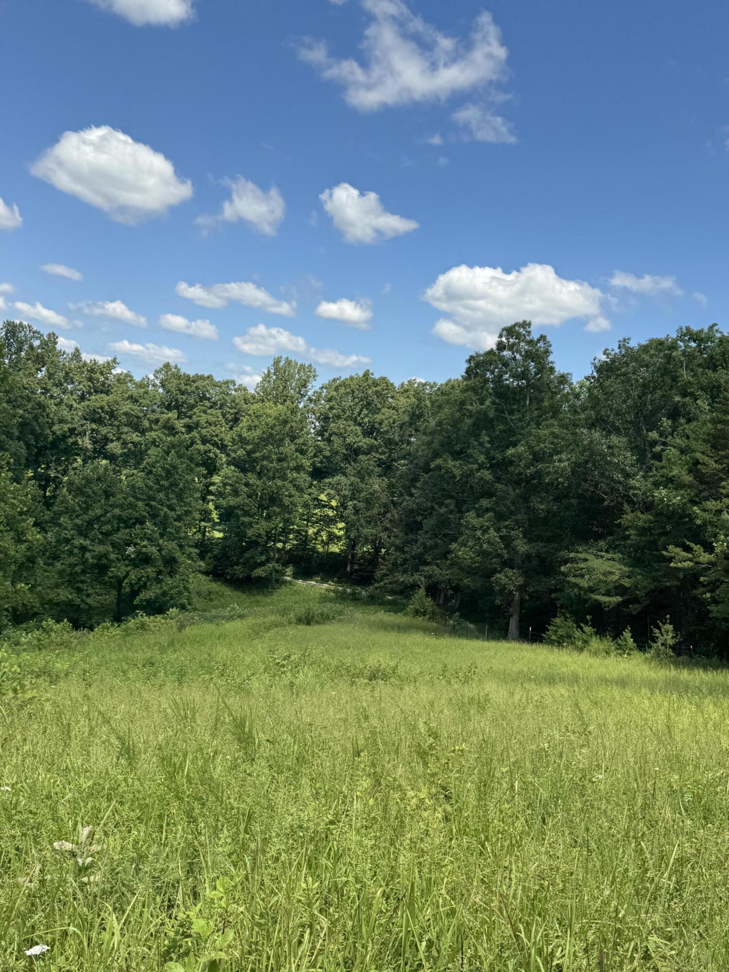 256 Calaboose-rocky Branch Road Property Photo 14