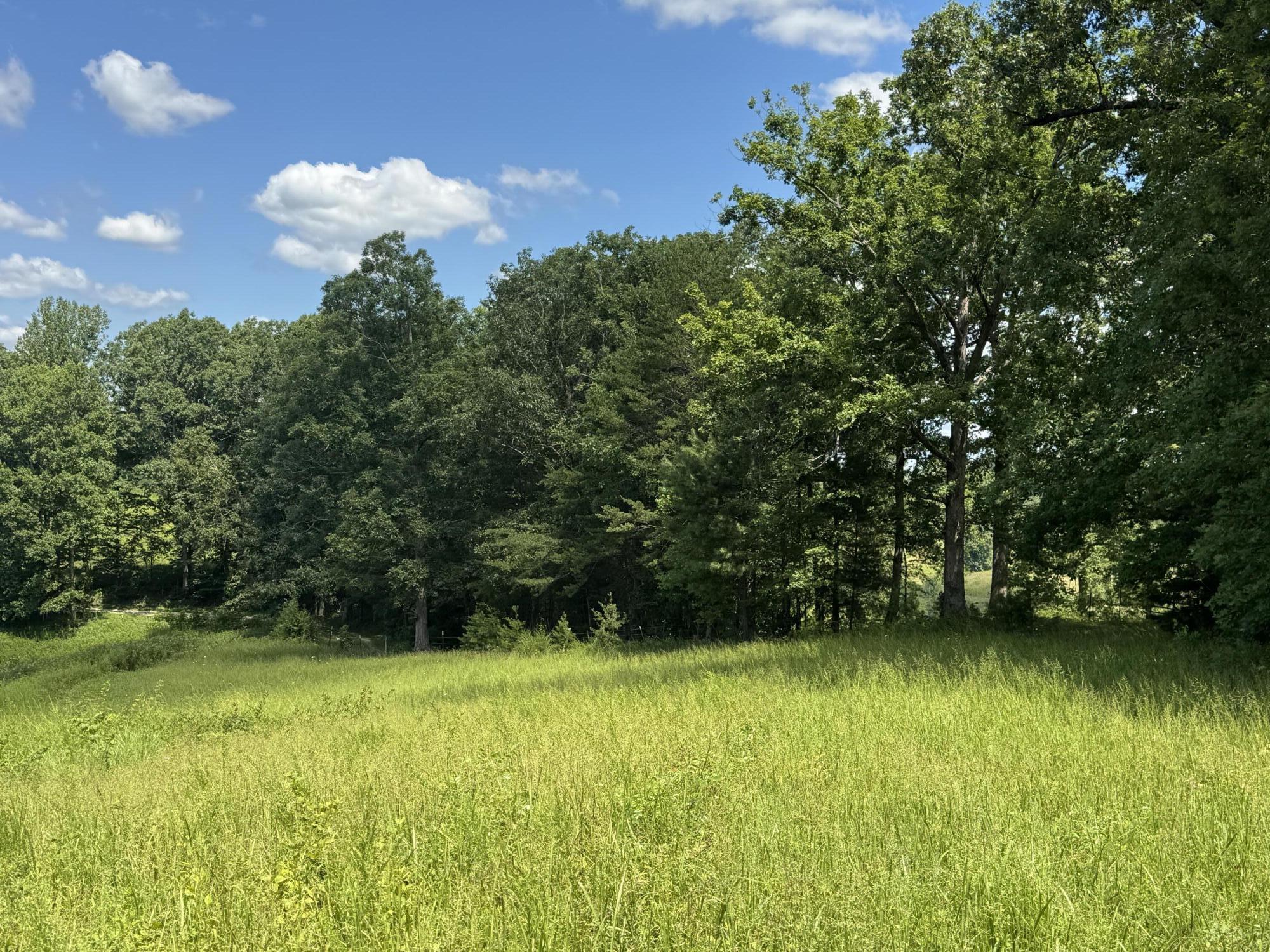 256 Calaboose-rocky Branch Road Property Photo 15