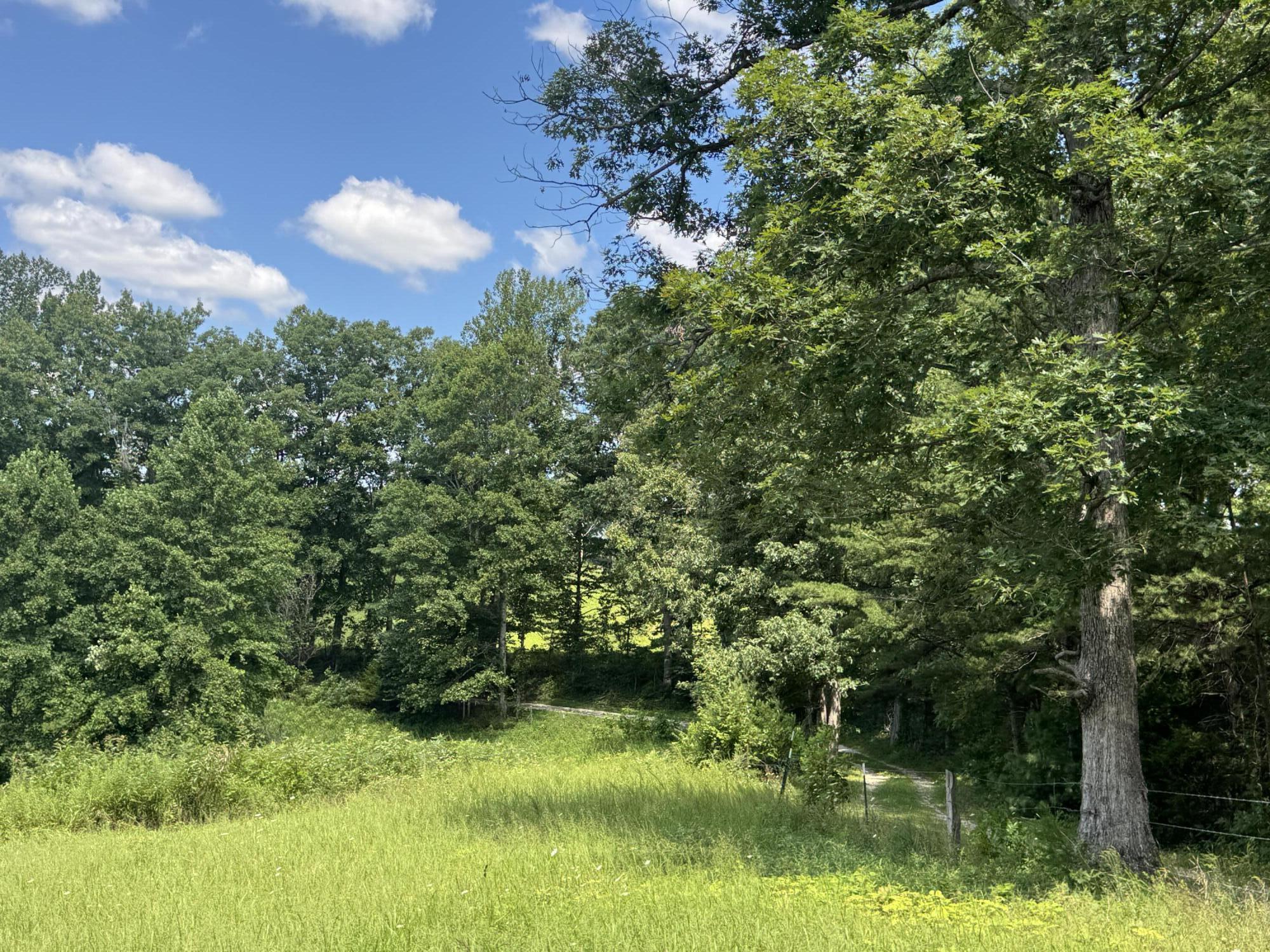 256 Calaboose-rocky Branch Road Property Photo 16