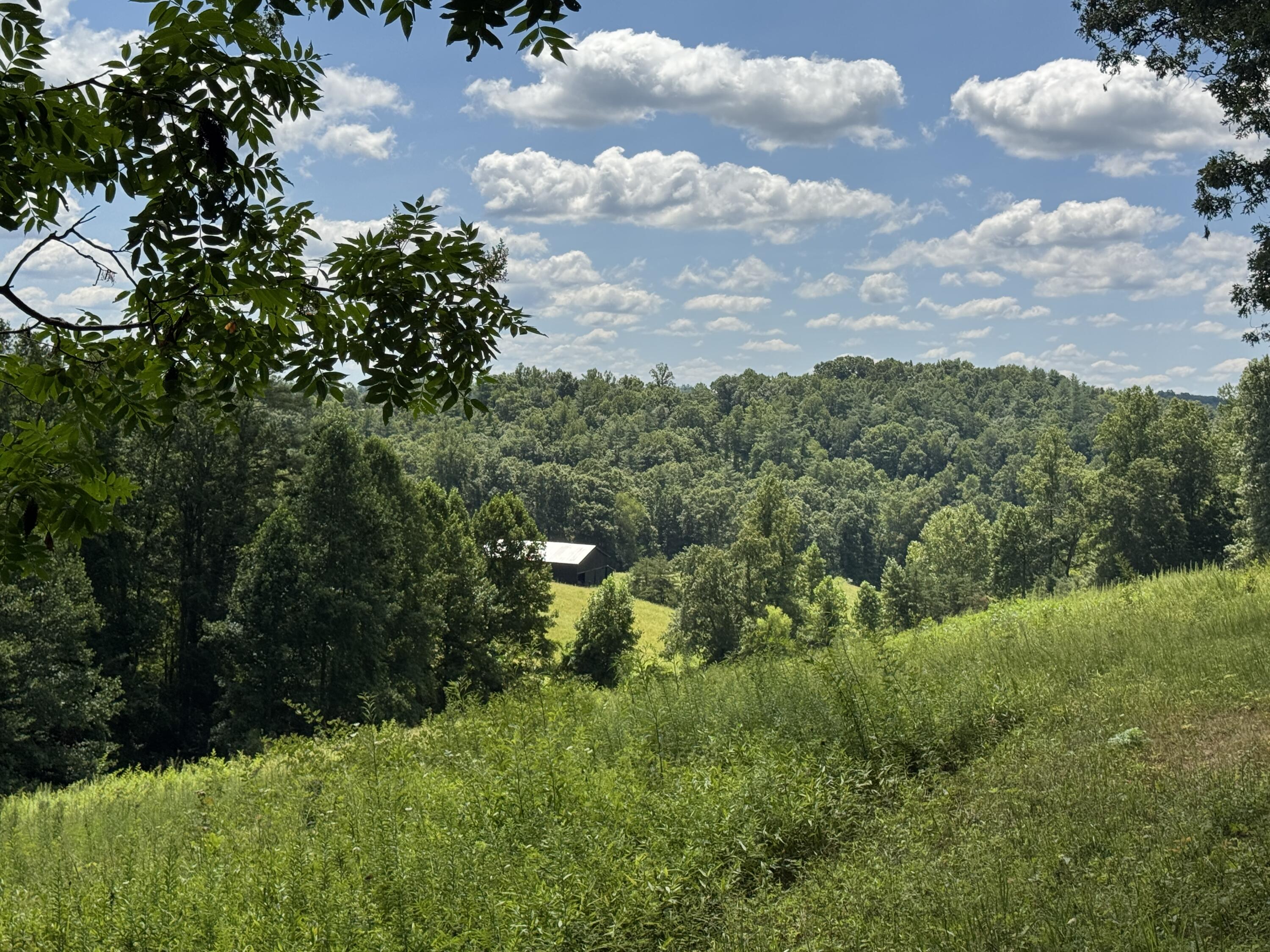 256 Calaboose-rocky Branch Road Property Photo 17