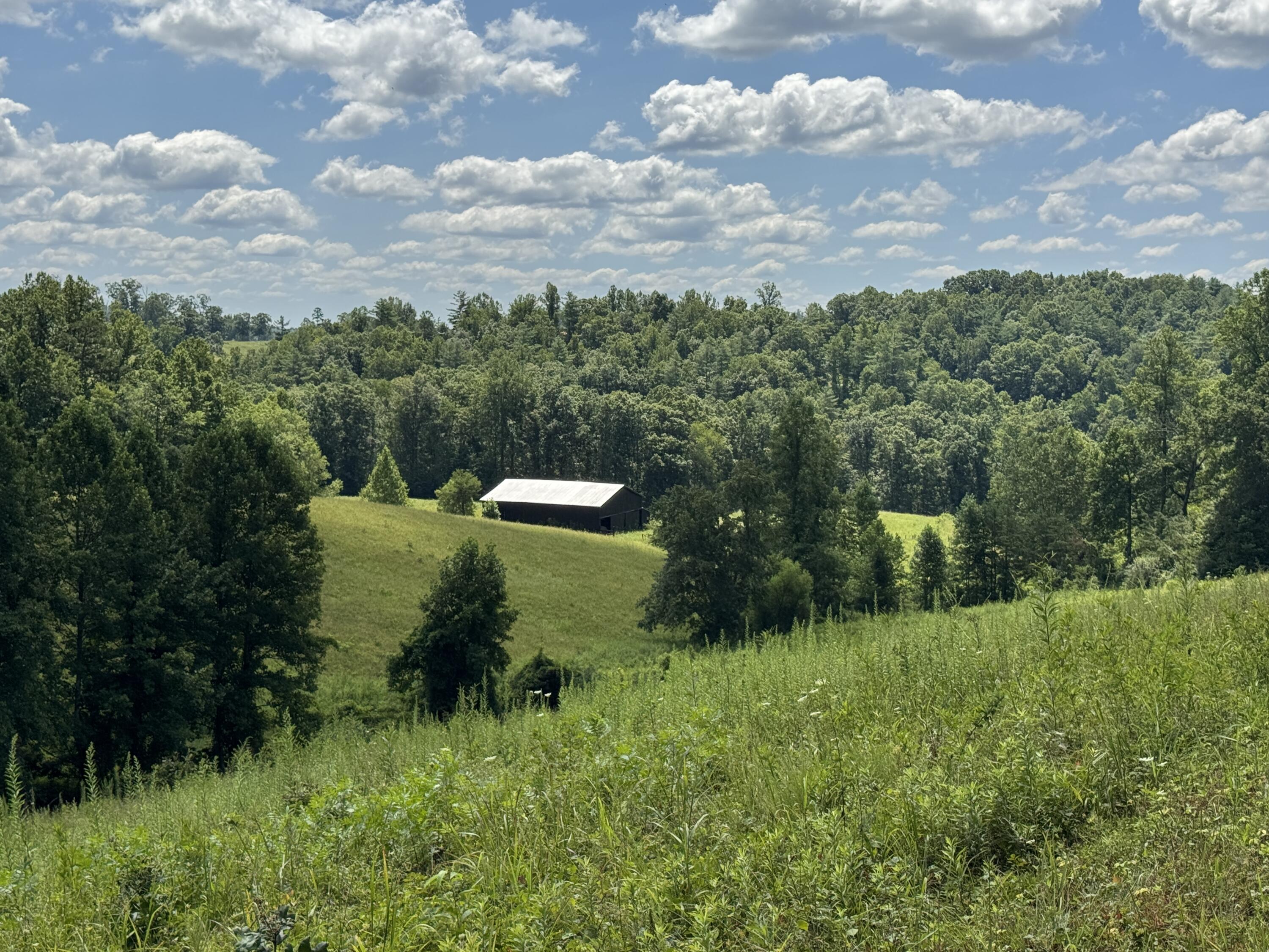 256 Calaboose-rocky Branch Road Property Photo 18