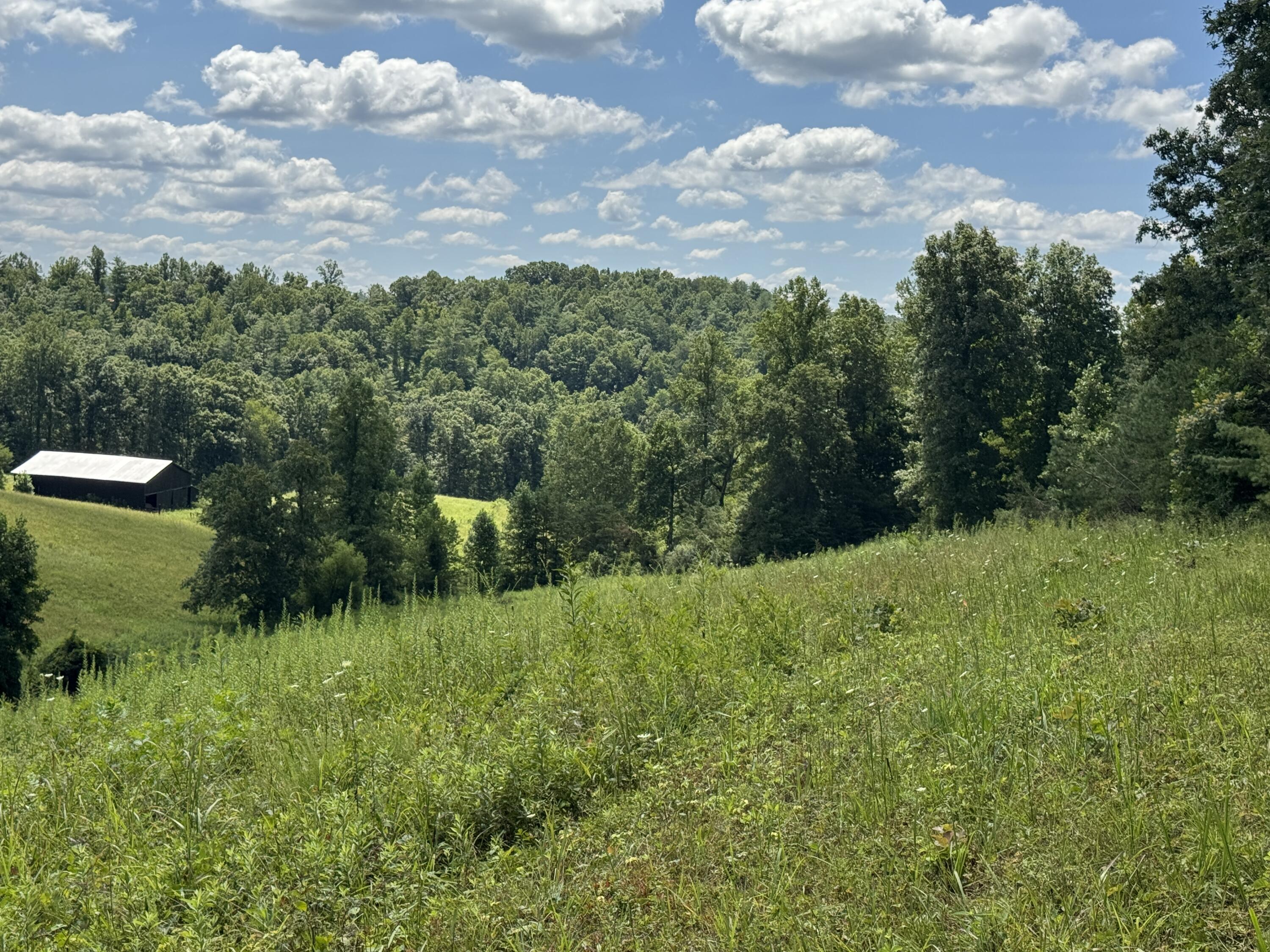 256 Calaboose-rocky Branch Road Property Photo 19