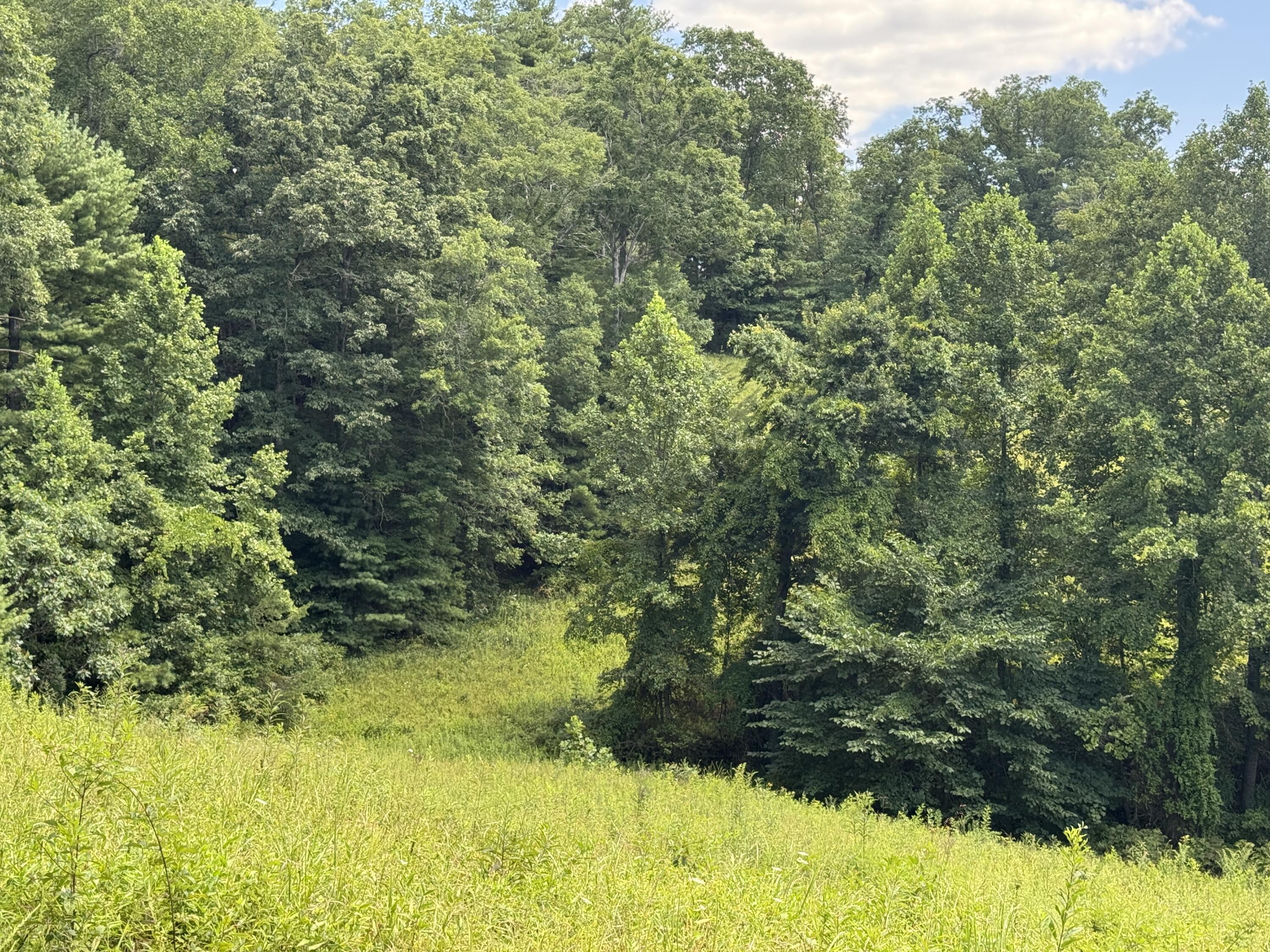 256 Calaboose-rocky Branch Road Property Photo 20