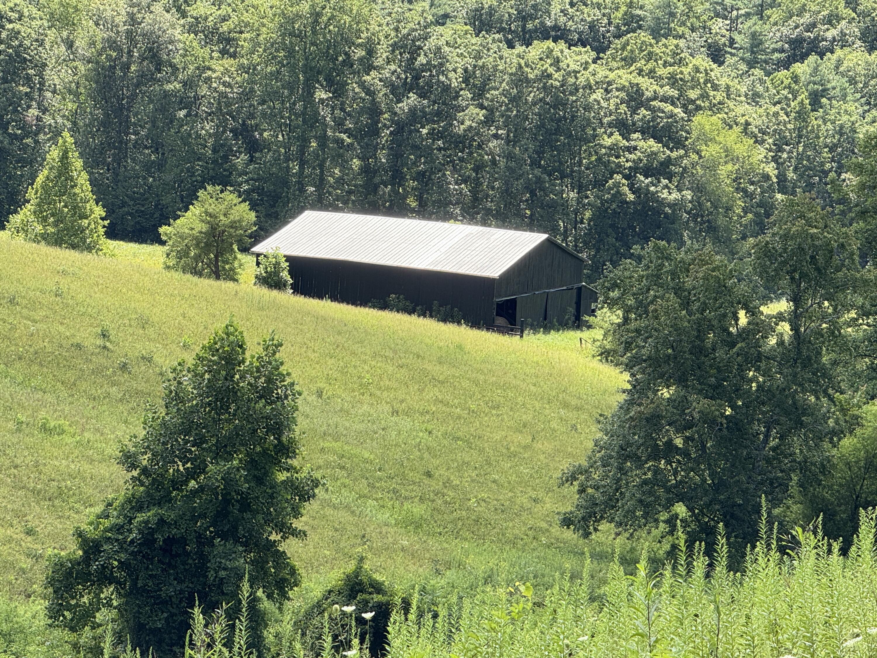 256 Calaboose-rocky Branch Road Property Photo 21