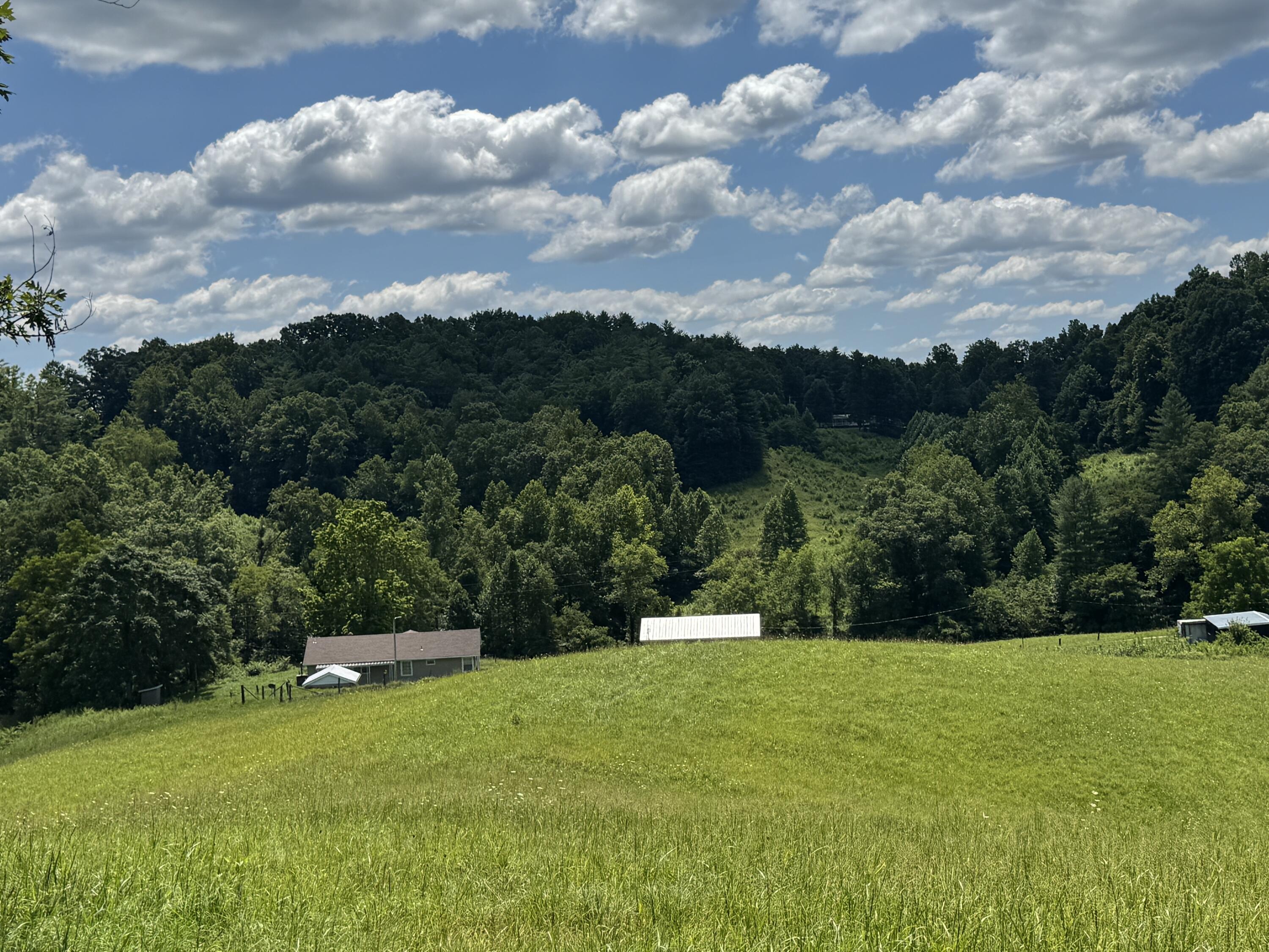256 Calaboose-rocky Branch Road Property Photo 22