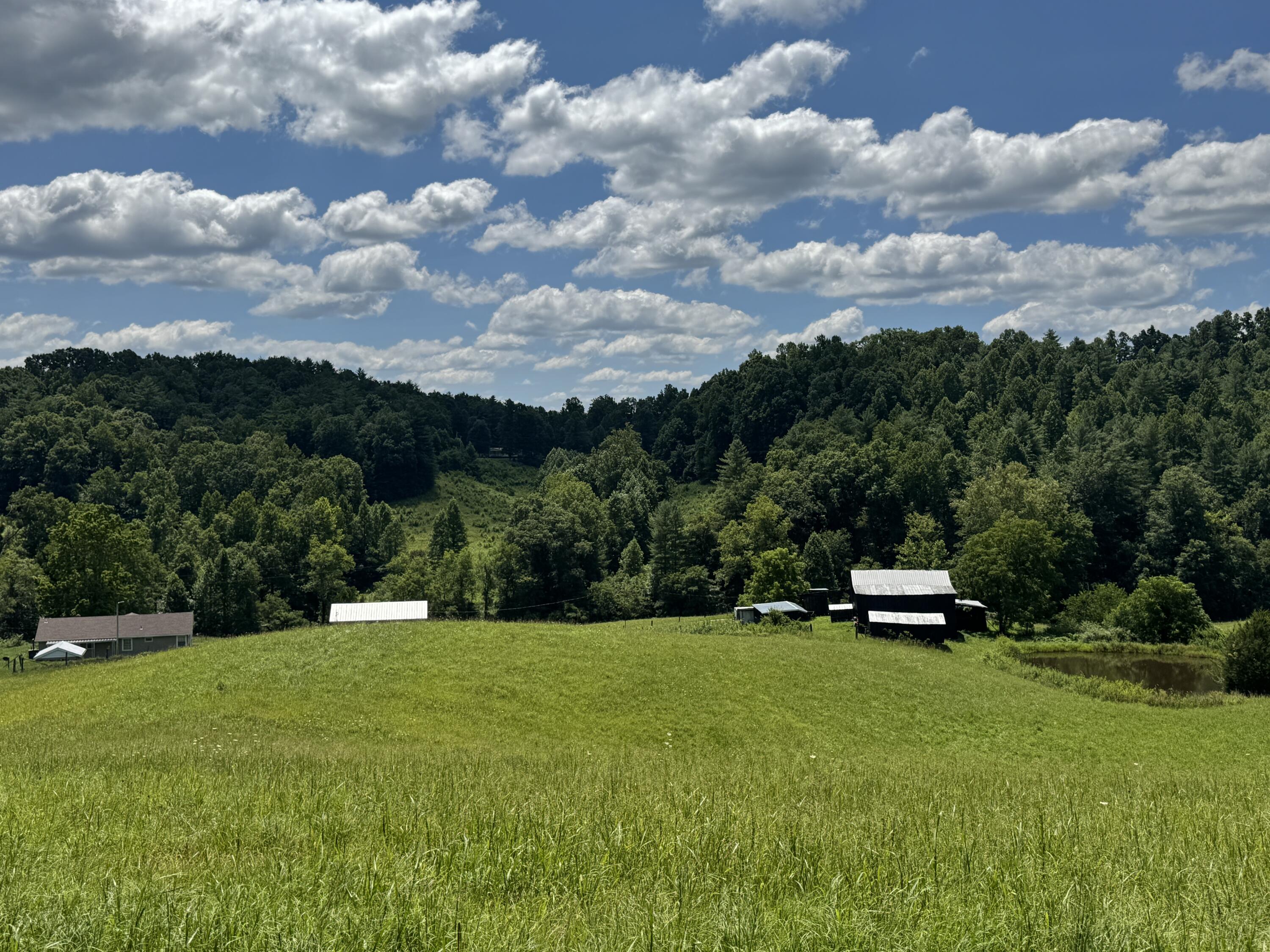 256 Calaboose-rocky Branch Road Property Photo 23