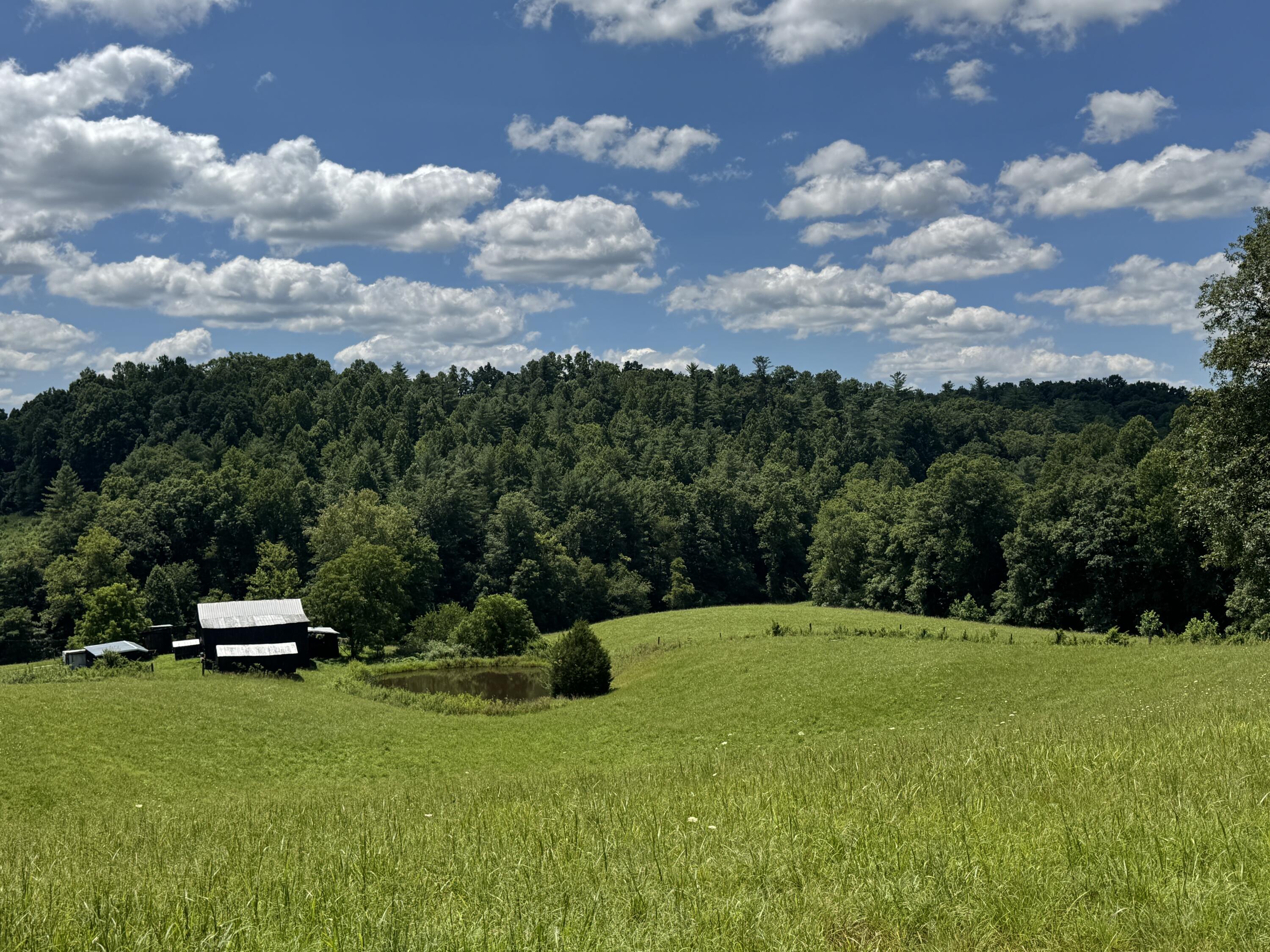 256 Calaboose-rocky Branch Road Property Photo 24
