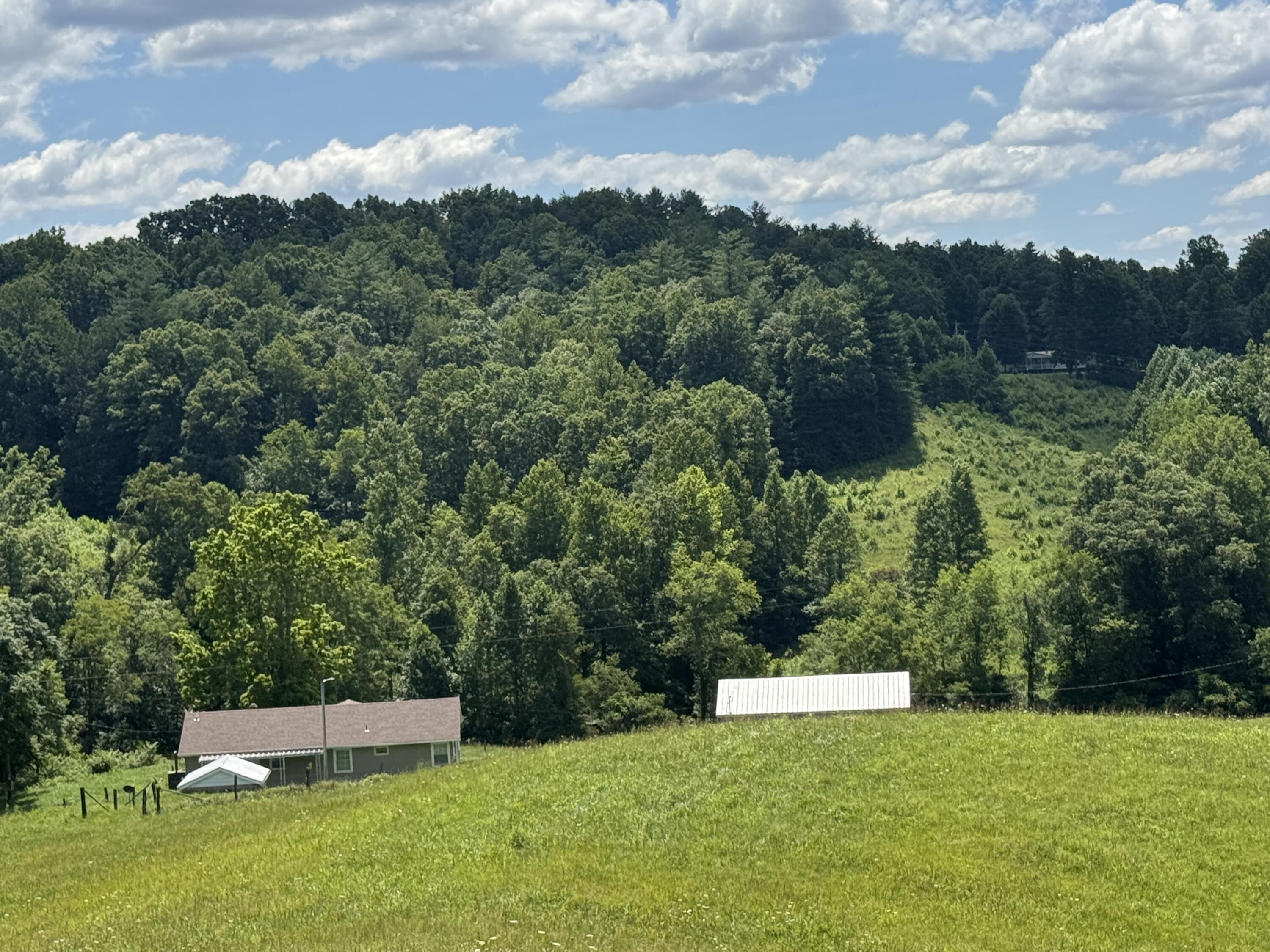 256 Calaboose-rocky Branch Road Property Photo 26