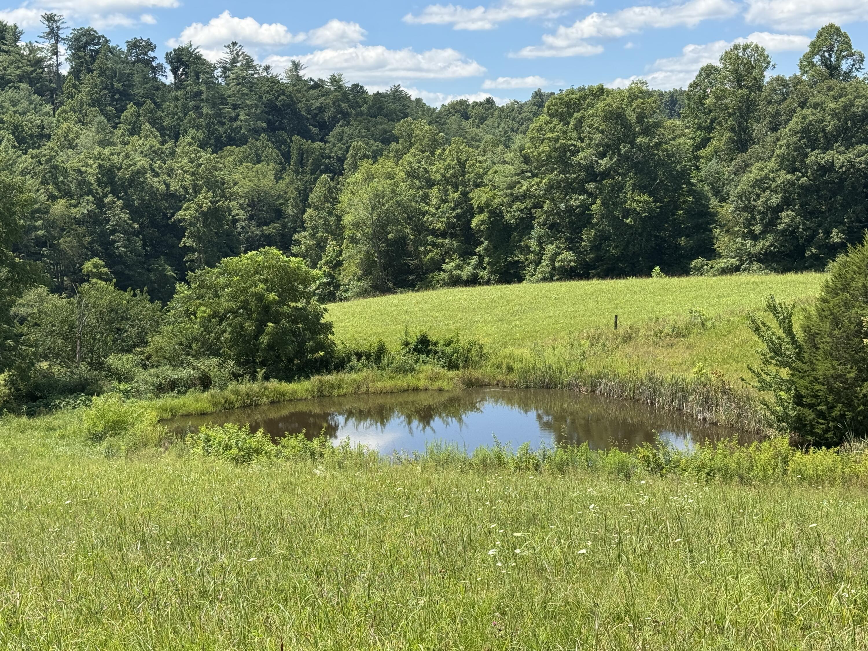 256 Calaboose-rocky Branch Road Property Photo 28