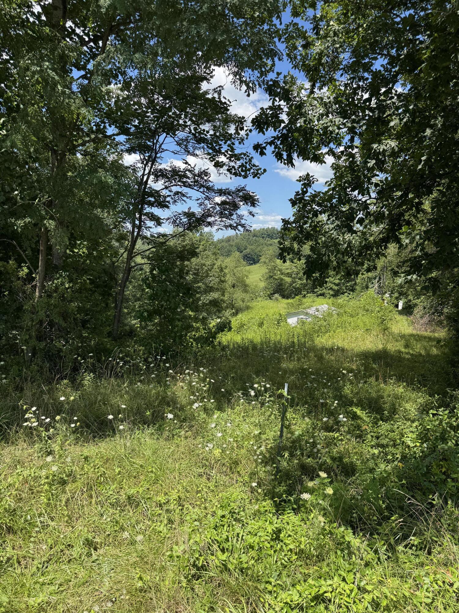 256 Calaboose-rocky Branch Road Property Photo 29