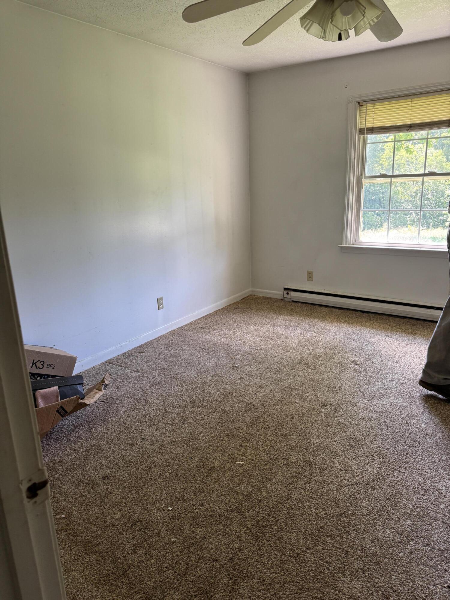 256 Calaboose-rocky Branch Road Property Photo 33