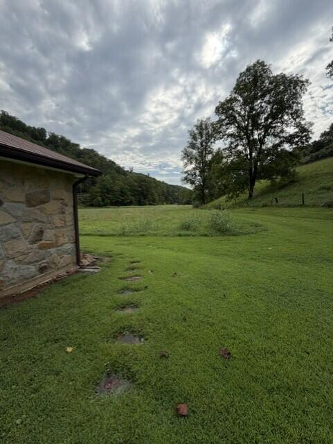 91 91 Mudlick Br Branch Property Photo 13